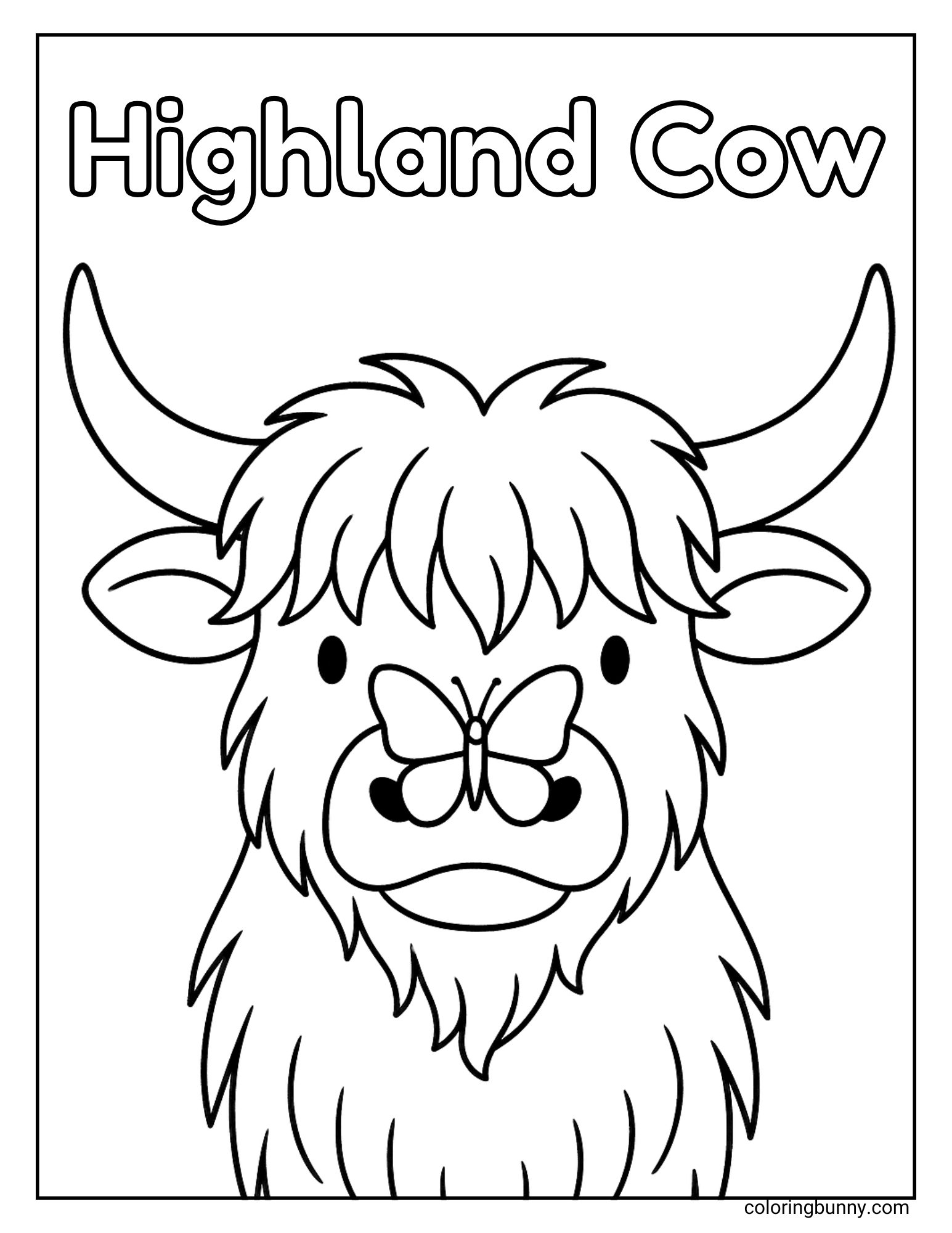 Highland cow with a butterfly perched on its nose, looking curious and calm.