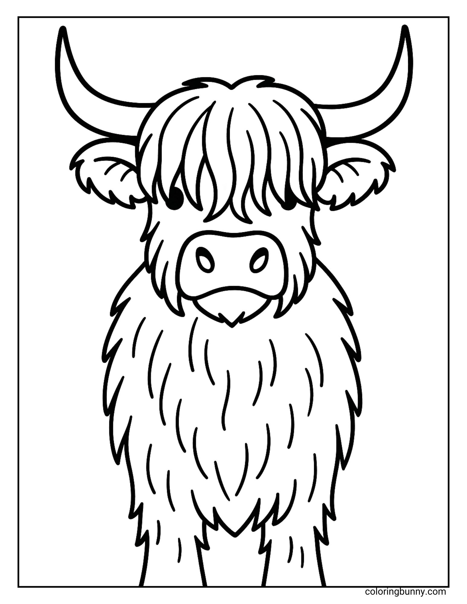 Highland Cow facing front on coloring page