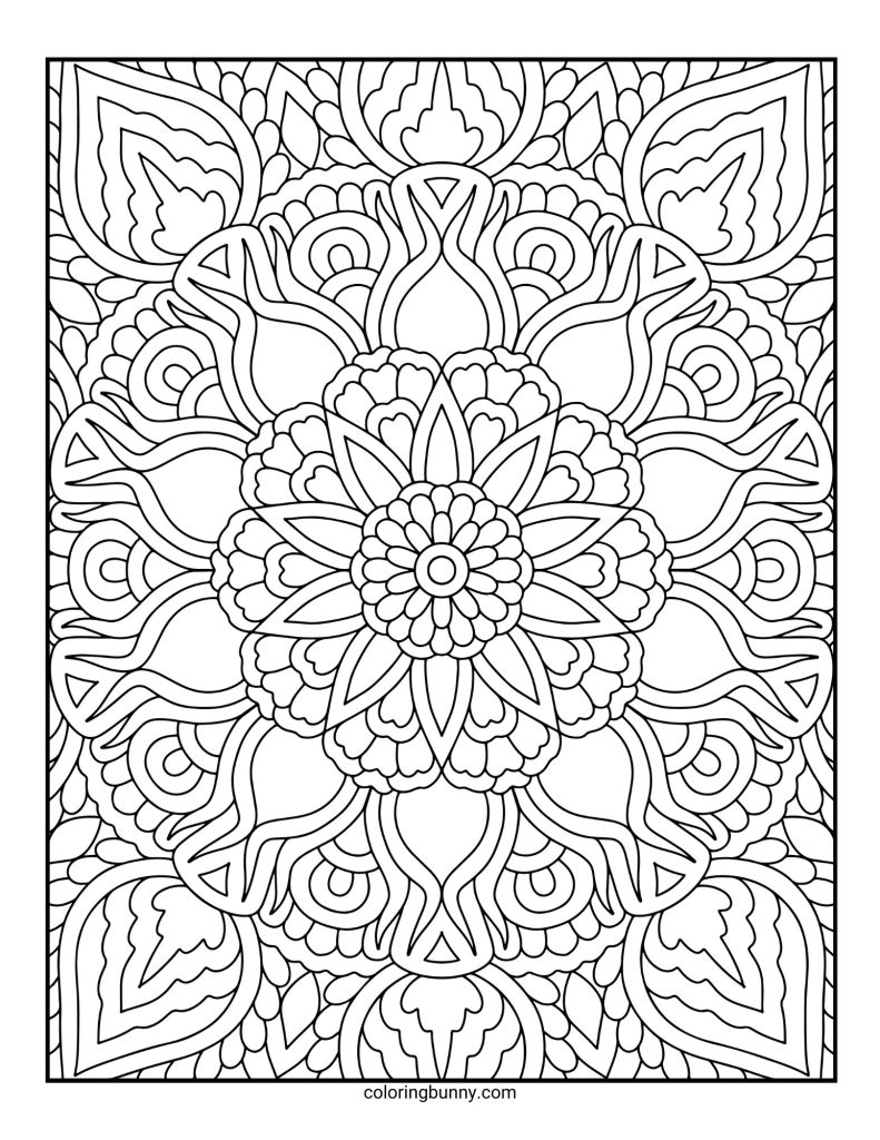 Intricate and Detailed Mandala Coloring Page for Adults