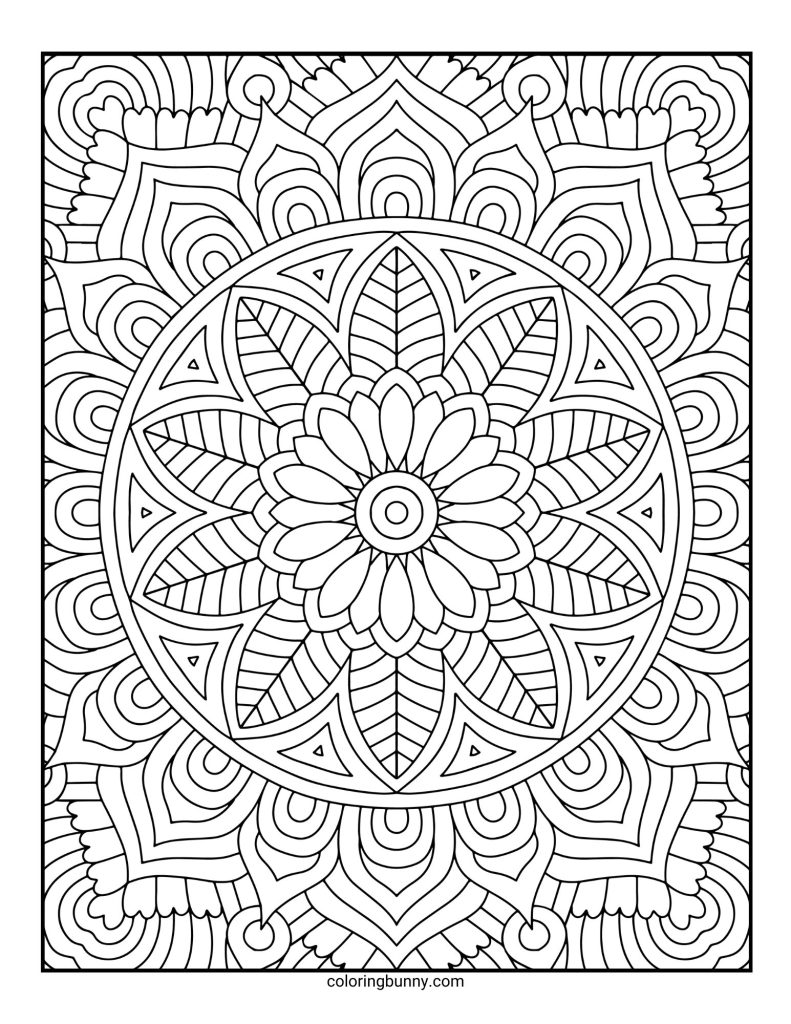 Intricate and Detailed Mandala Coloring Page for Adults