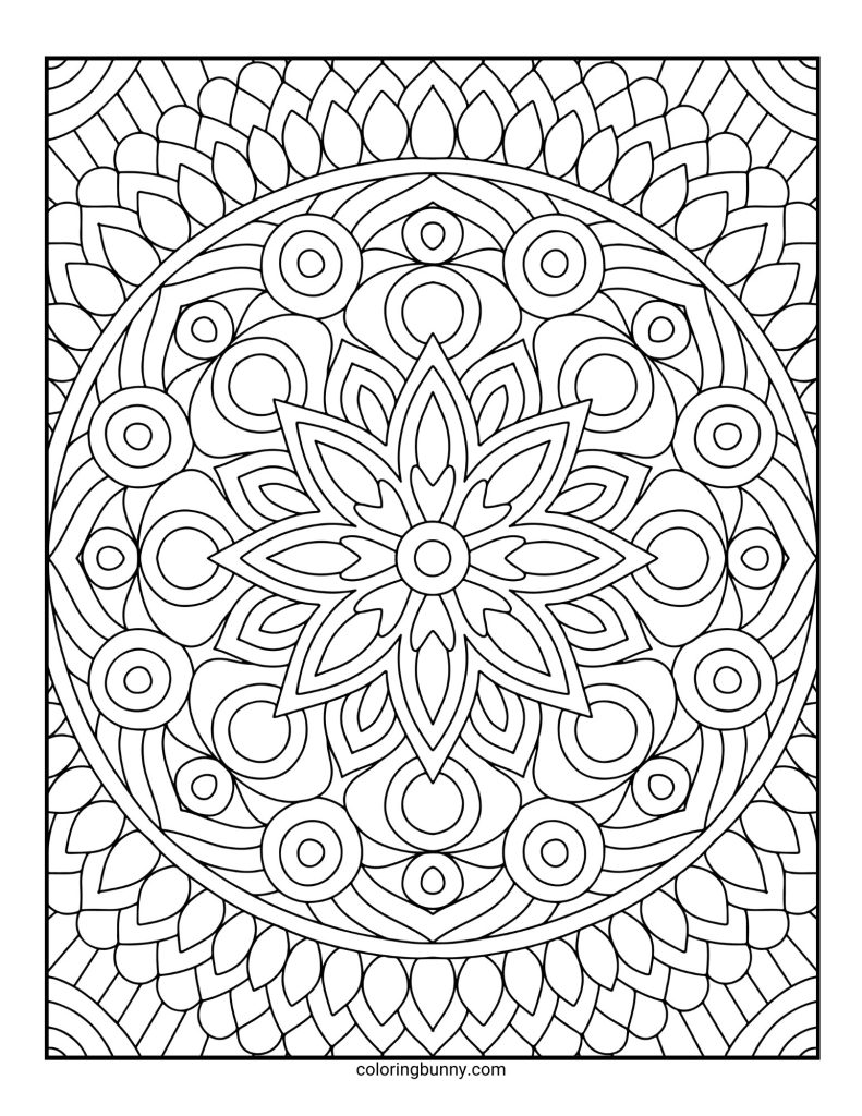 Intricate and Detailed Mandala Coloring Page for Adults