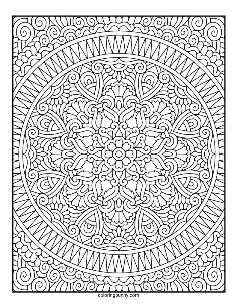 Intricate and Detailed Mandala Coloring Page for Adults