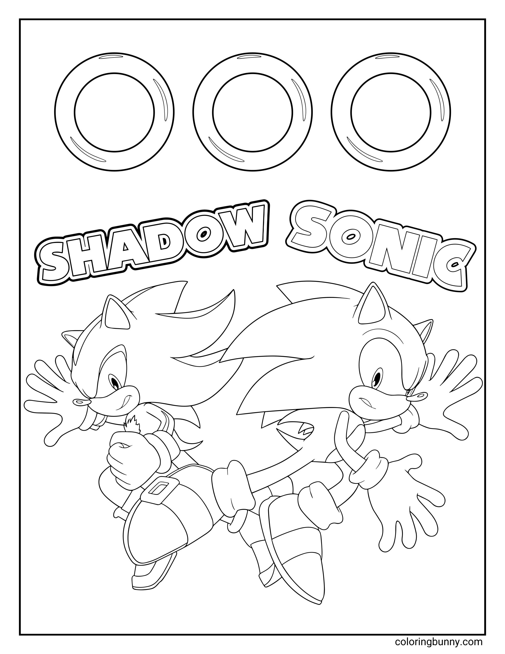 Shadow and Sonic coloring page featuring the two iconic hedgehogs sprinting back-to-back beneath golden rings, ready for an epic race or showdown.