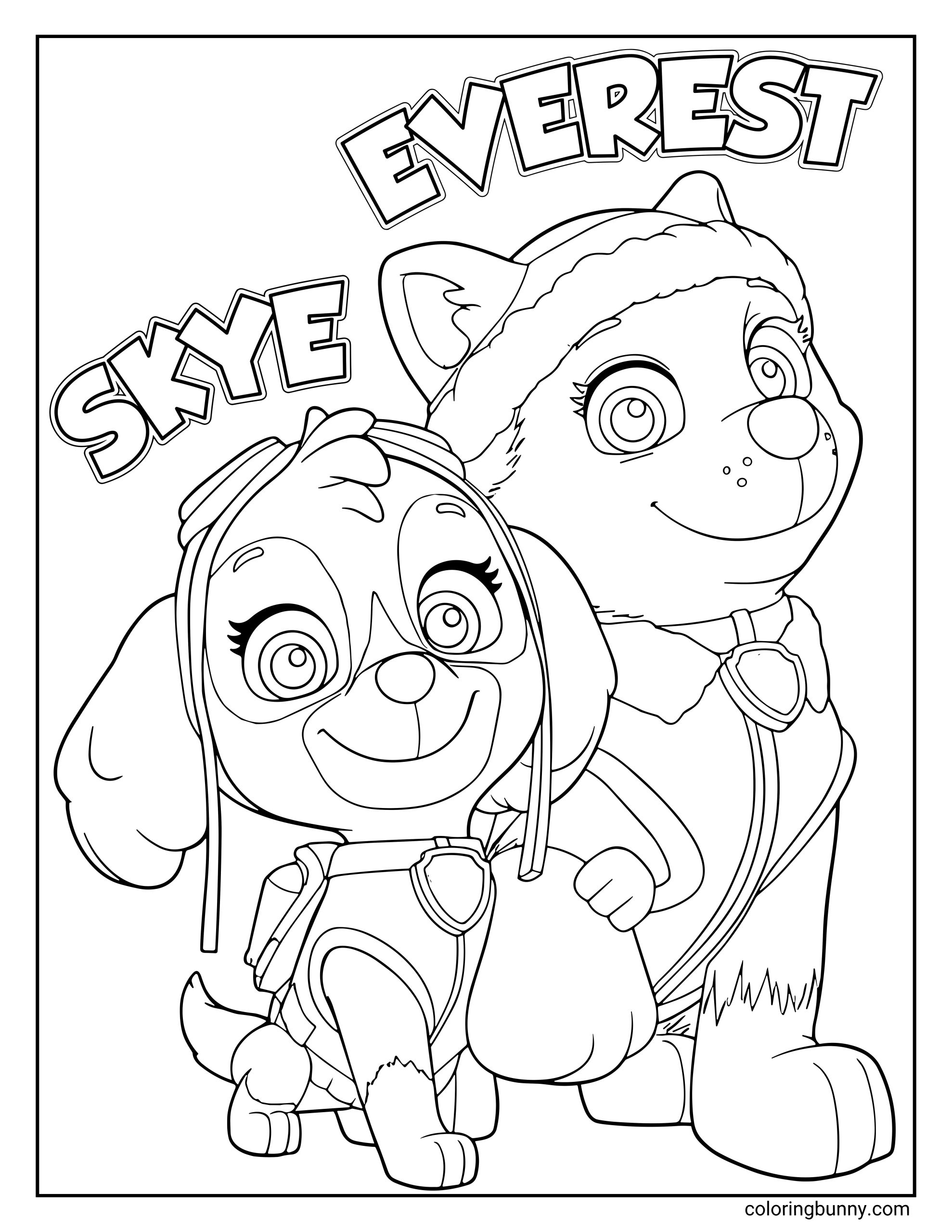 A Paw Patrol coloring page featuring Skye and Everest standing side by side with big smiles. Skye wears her aviator goggles and flight pack, while Everest sports her cozy winter hat and uniform. The words “Skye” and “Everest” appear in bold letters above them.