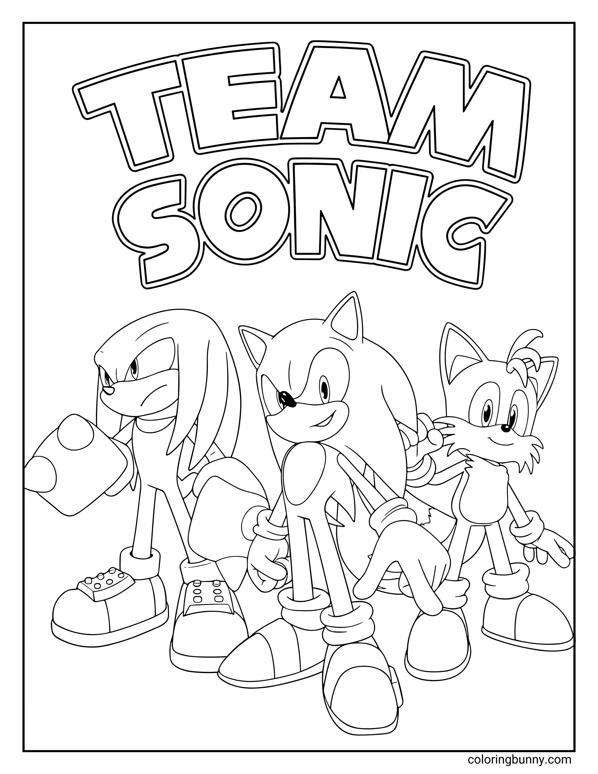 A coloring page of Team Sonic featuring Sonic the Hedgehog, Knuckles the Echidna, and Tails the Fox standing together in heroic poses under the bold title “TEAM SONIC.”