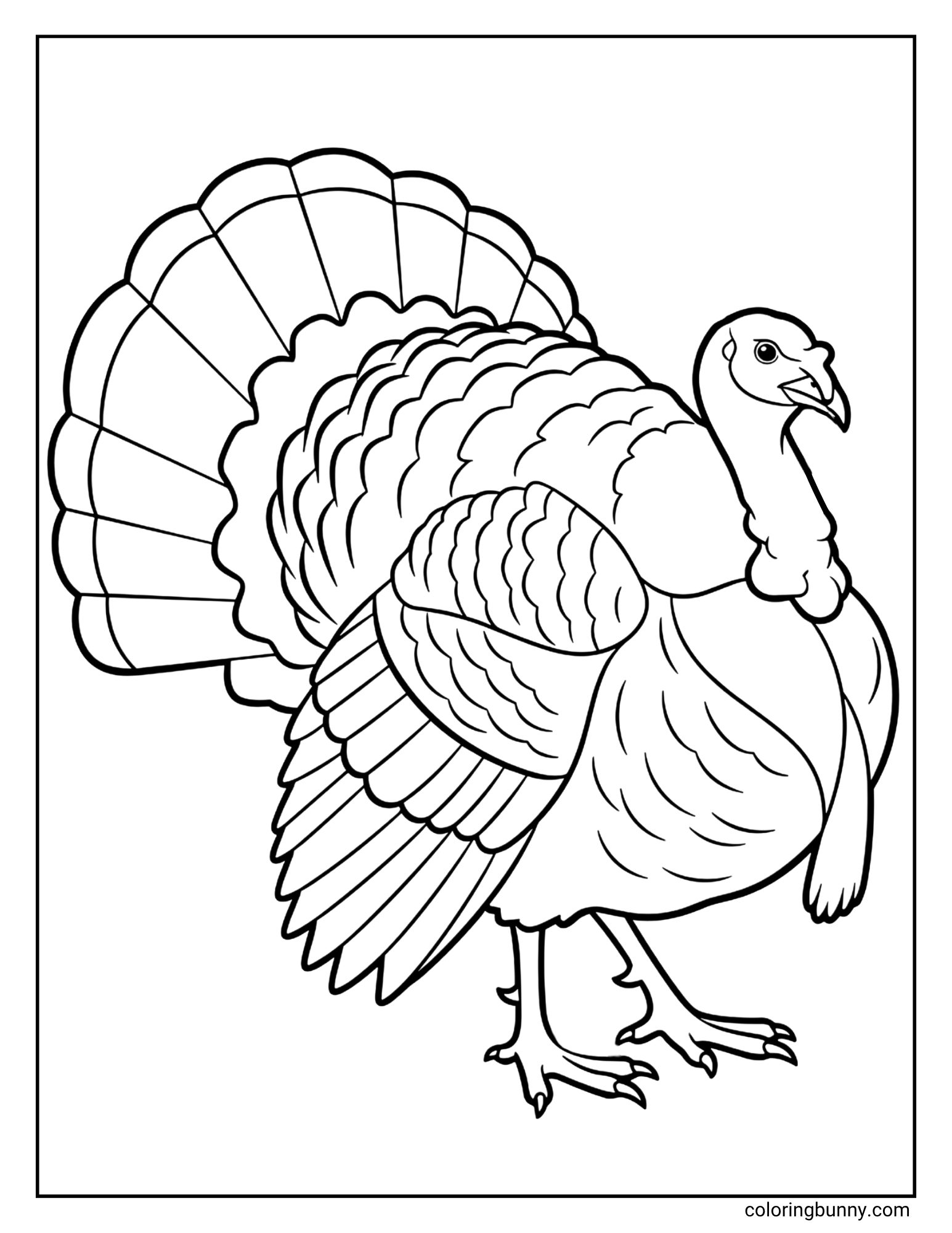 A black and white coloring page featuring a realistic turkey. The turkey is standing in profile with its large tail feathers fanned out.