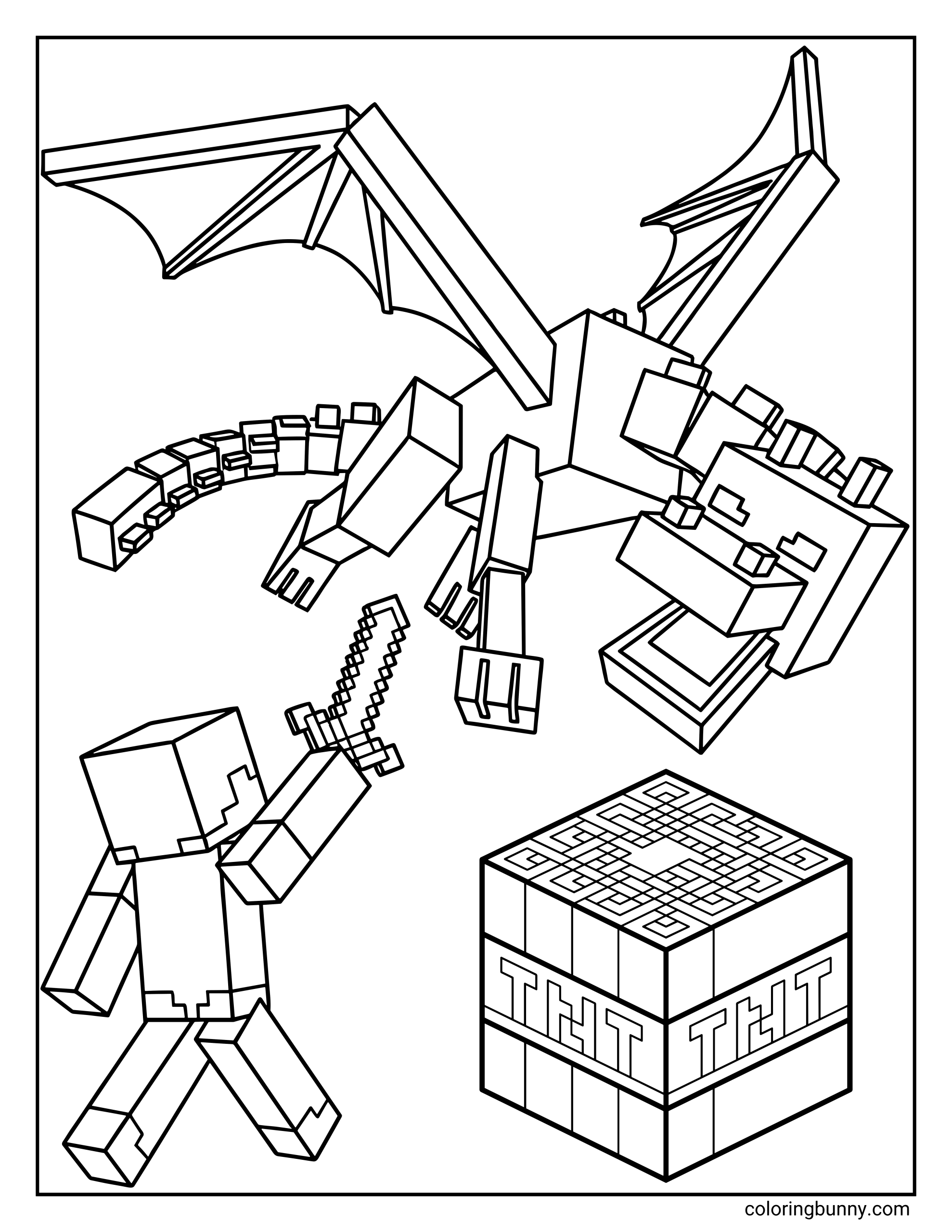 A Minecraft Steve vs Ender Dragon coloring page featuring Steve holding a sword while facing the flying Ender Dragon above and a TNT block.