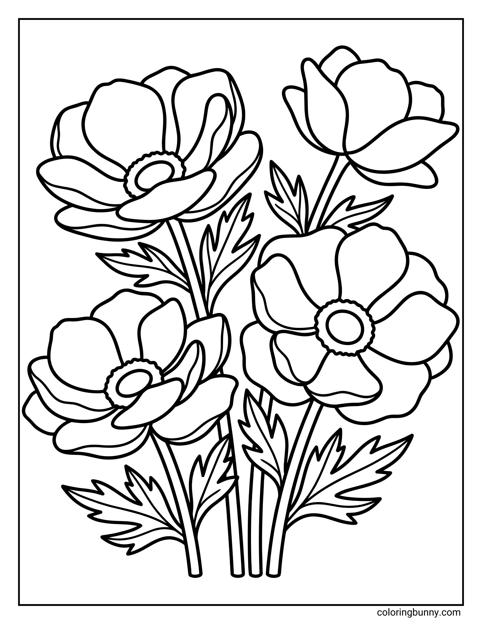 An anemone flower coloring page featuring multiple anemone blooms with rounded petals, textured centers, slender stems, and leafy details outlined in clean, bold lines.