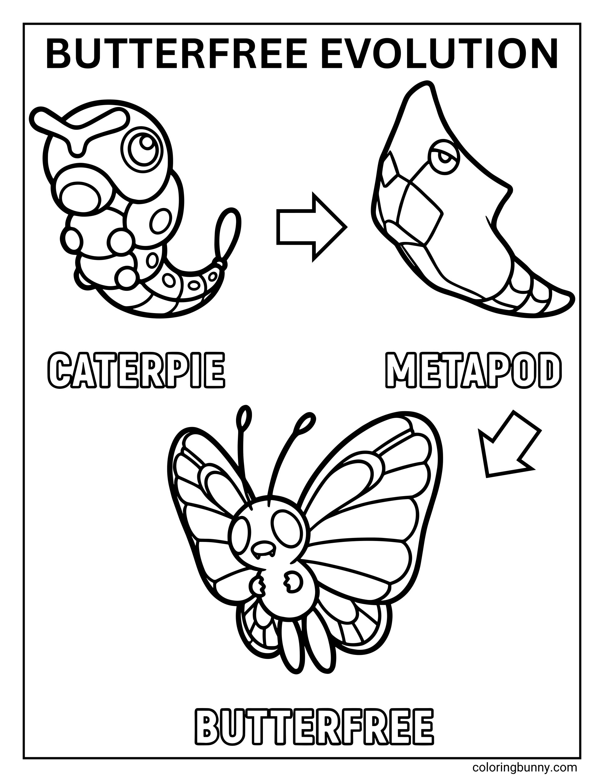 A Pokémon-themed “Butterfree Evolution” coloring page showing three stages of evolution arranged with arrows. On the left is Caterpie, a small segmented caterpillar Pokémon with big eyes and antennae, labeled “CATERPIE.” An arrow points to Metapod on the right, shown as a hard cocoon-like form labeled “METAPOD.” Another arrow points downward to Butterfree at the bottom, depicted with large patterned butterfly wings, antennae, and a rounded body, labeled “BUTTERFREE.” The page features bold outlines, and simple shapes.