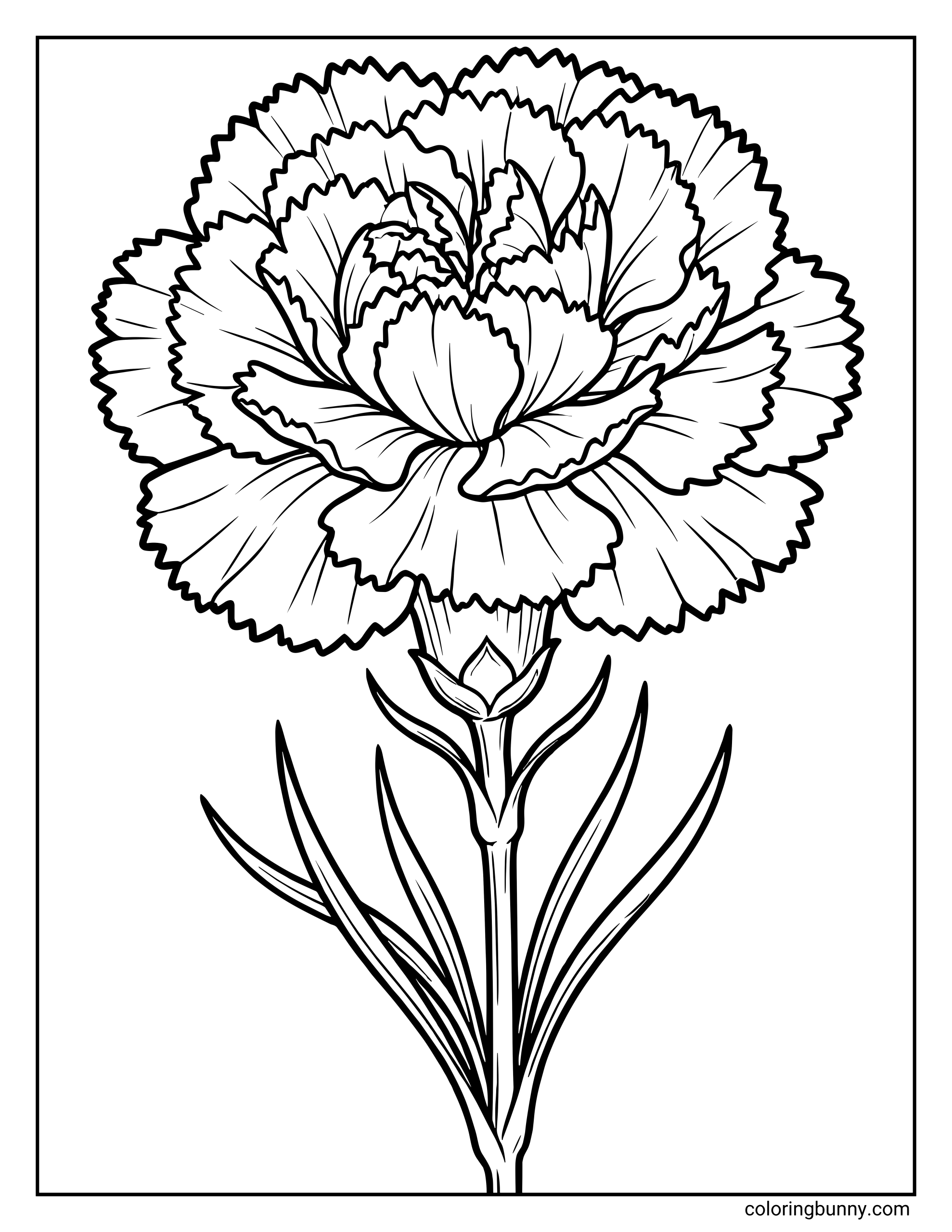 A carnation flower coloring page featuring a full carnation bloom with ruffled, layered petals, a slender stem, and narrow leaves outlined in bold, clean lines.