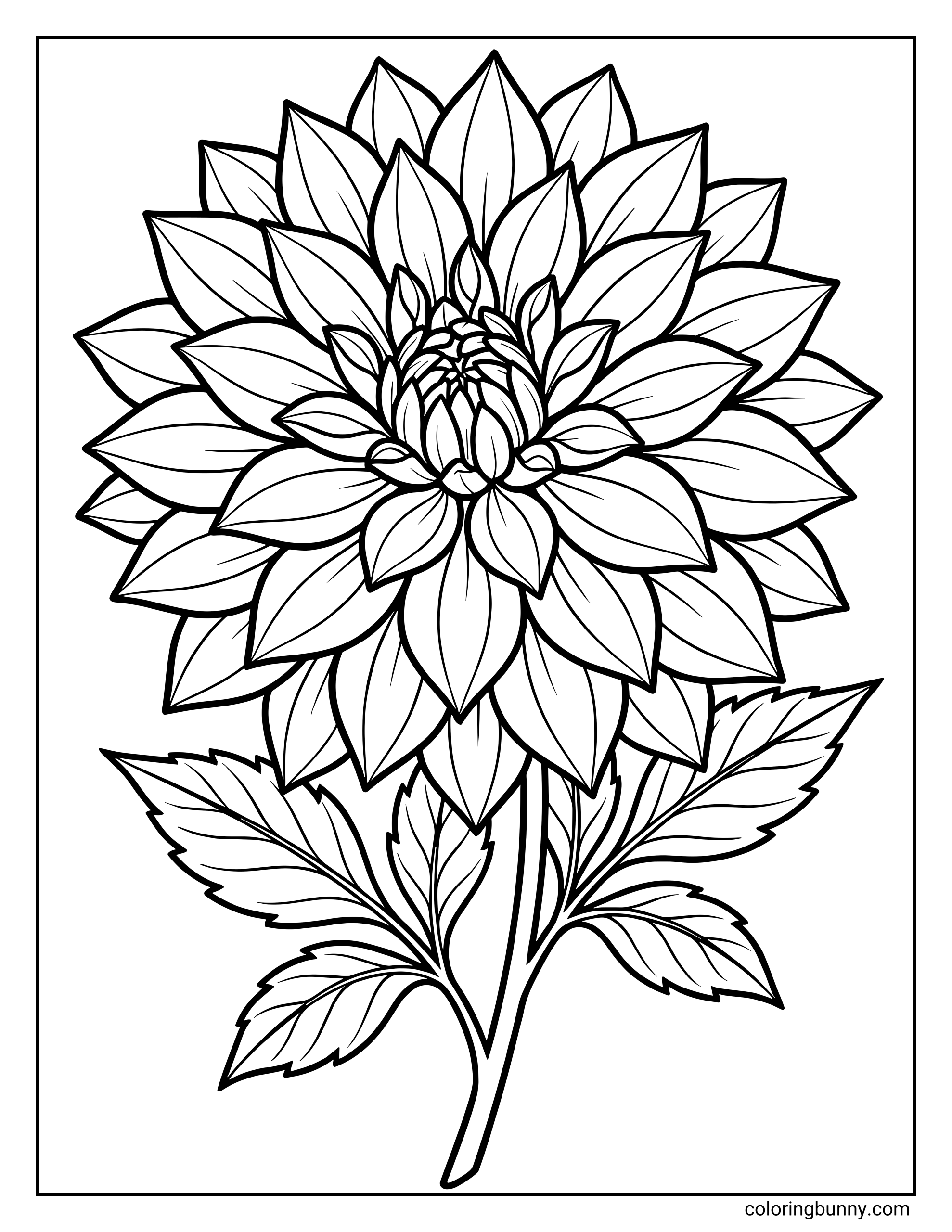 A dahlia flower coloring page featuring a large dahlia bloom with many layered, pointed petals arranged in a circular pattern, plus leafy stems in bold, clean outlines.