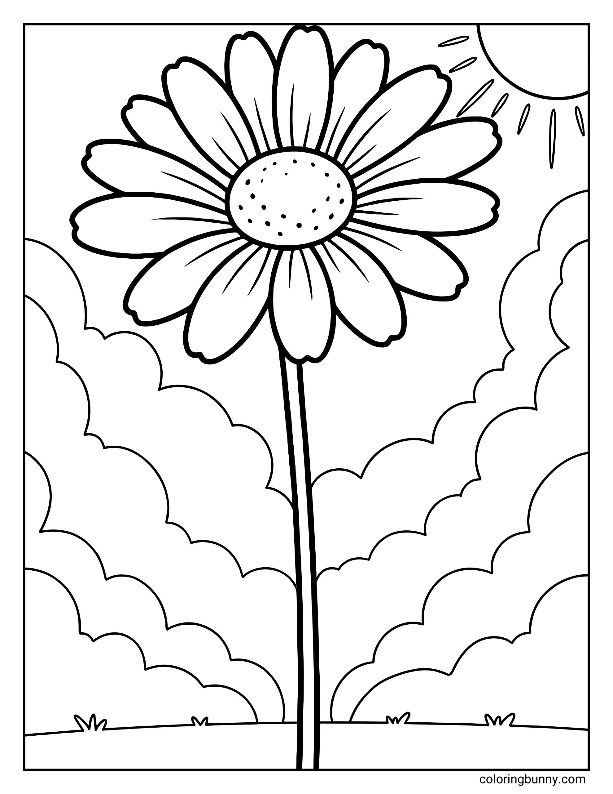 A daisy flower coloring page featuring a tall daisy with rounded petals, a dotted center, a sunny sky with clouds, and a simple outdoor background.