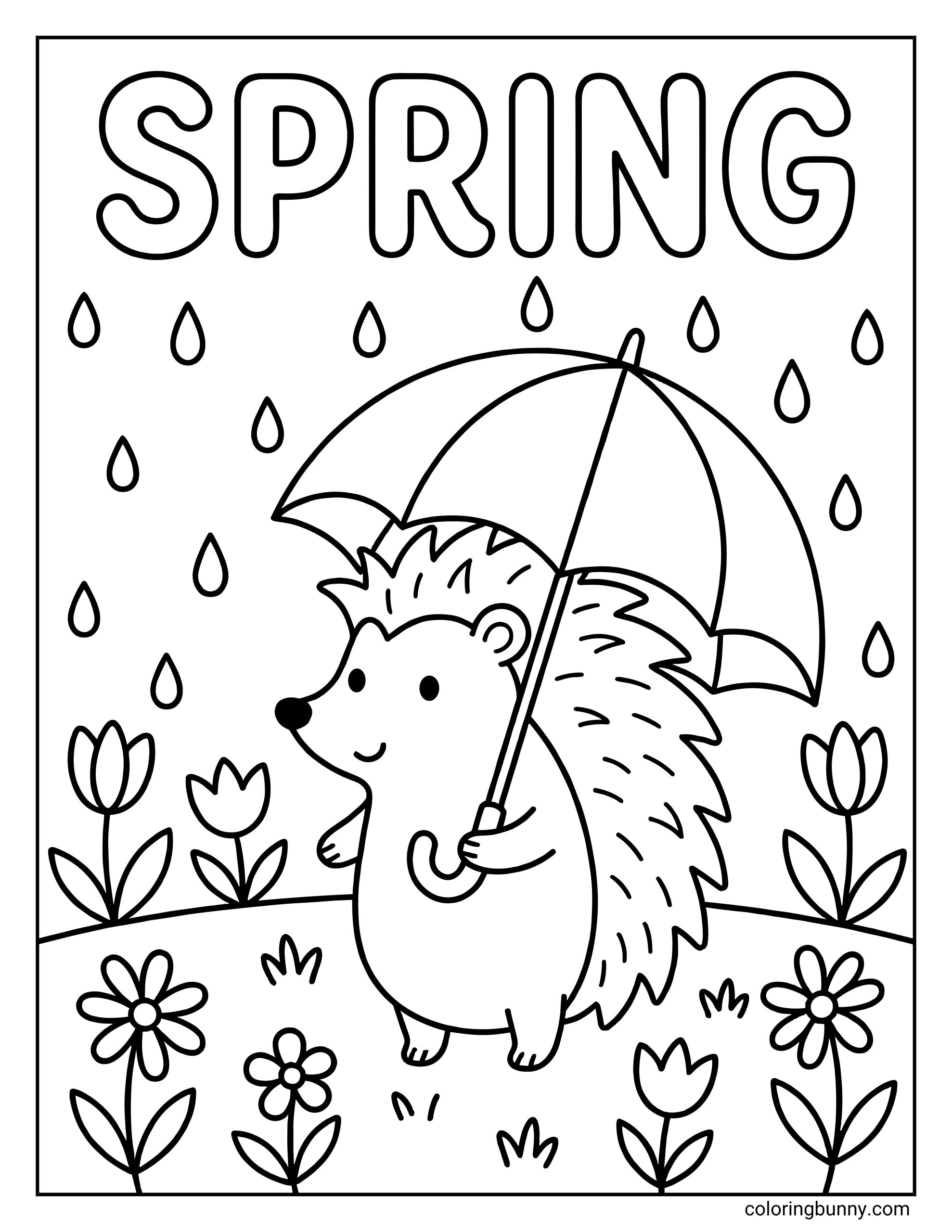 A cute Spring coloring page featuring a hedgehog holding an umbrella in the rain beneath the word "SPRING," surrounded by tulips and daisies.