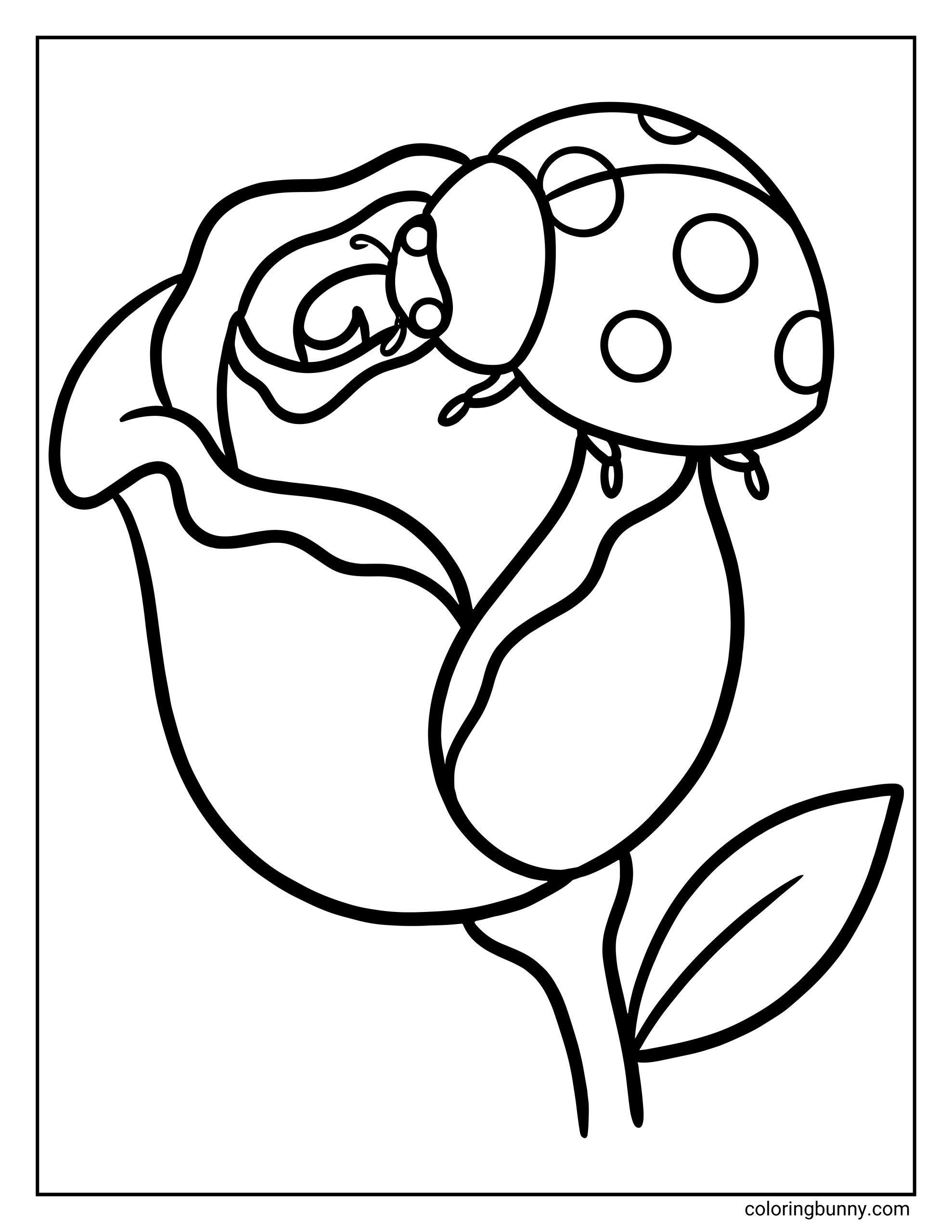 A simple ladybug on a rose flower coloring page featuring a spotted ladybug resting on a blooming rose, with smooth petals, a curved stem, and bold, easy-to-color outlines.
