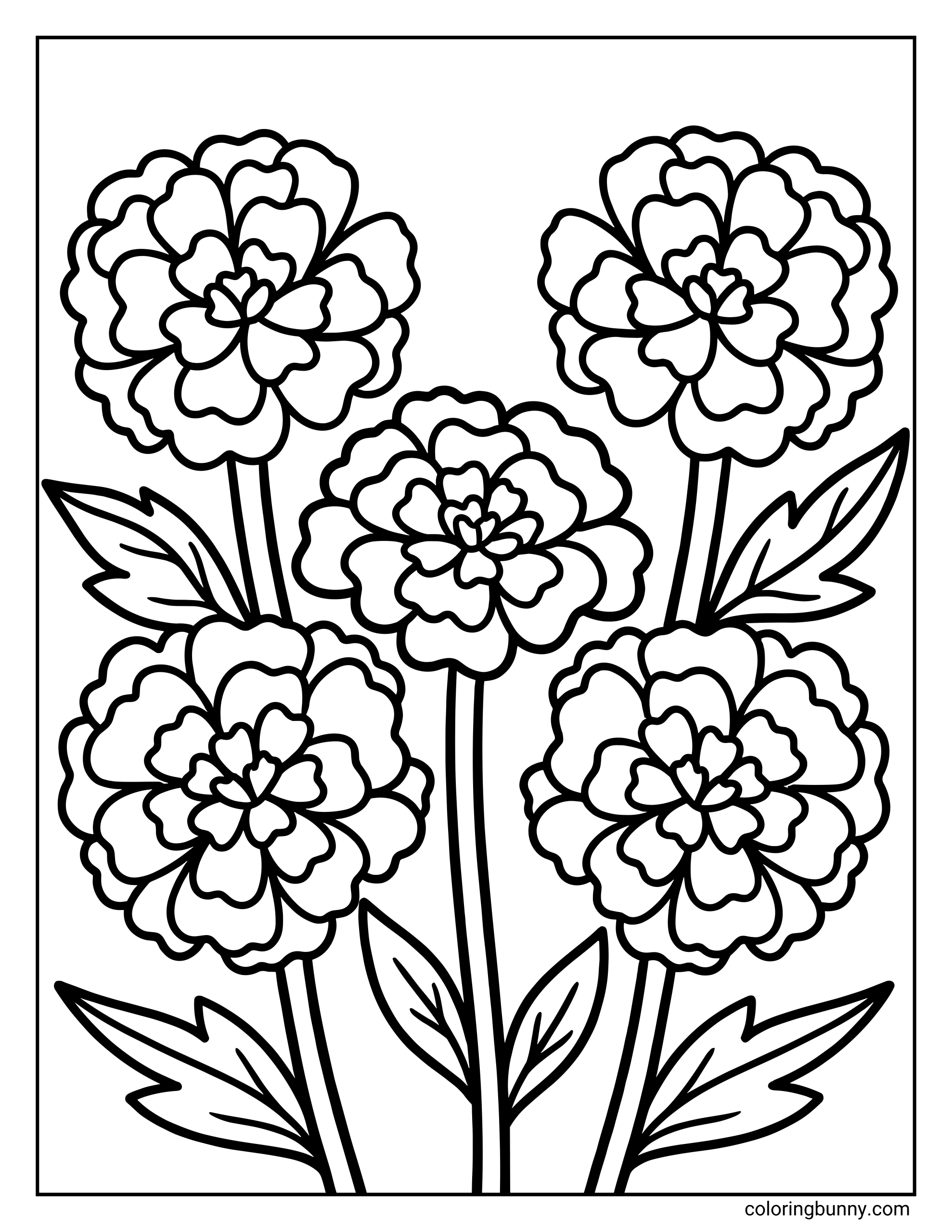 A marigold flower coloring page featuring five marigold blooms with layered, rounded petals, tall stems, and leafy details outlined in bold, clean lines.
