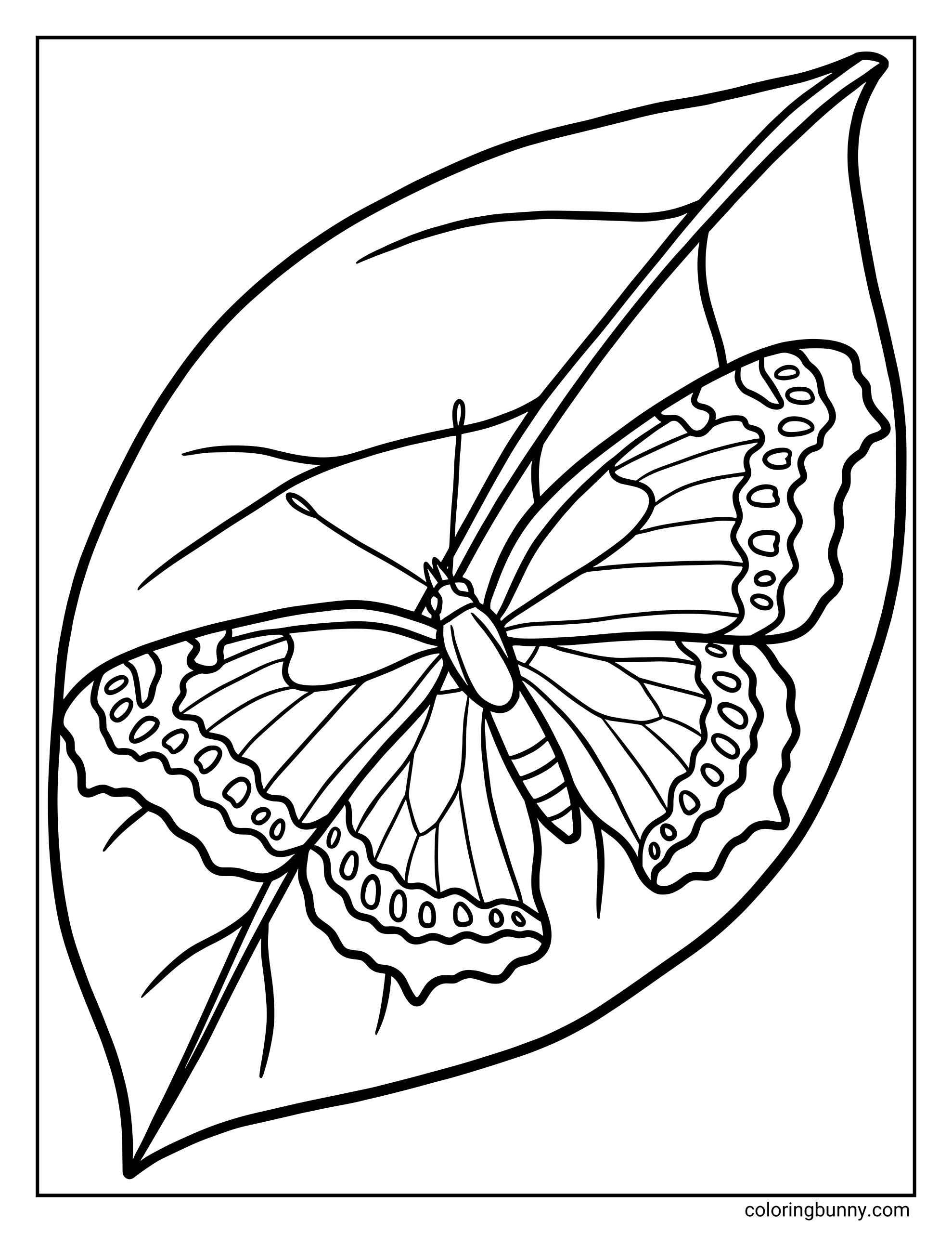 A mourning cloak butterfly coloring page showing a detailed butterfly resting on a large, curved leaf with visible veins. The butterfly’s wings are spread wide, featuring scalloped edges and layered pattern sections, all outlined with bold, clean lines that make the shapes easy to color.