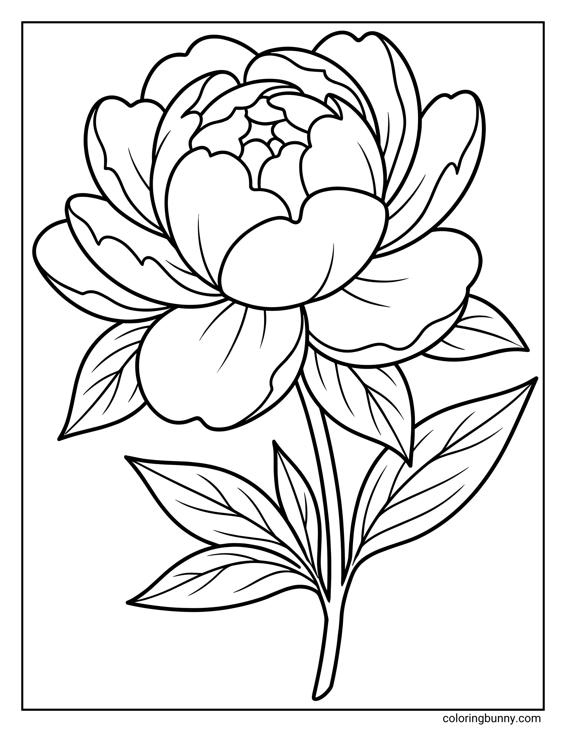 A peony flower coloring page featuring a large, full peony bloom with layered, rounded petals, delicate inner details, and leafy stems in bold, clean outlines.