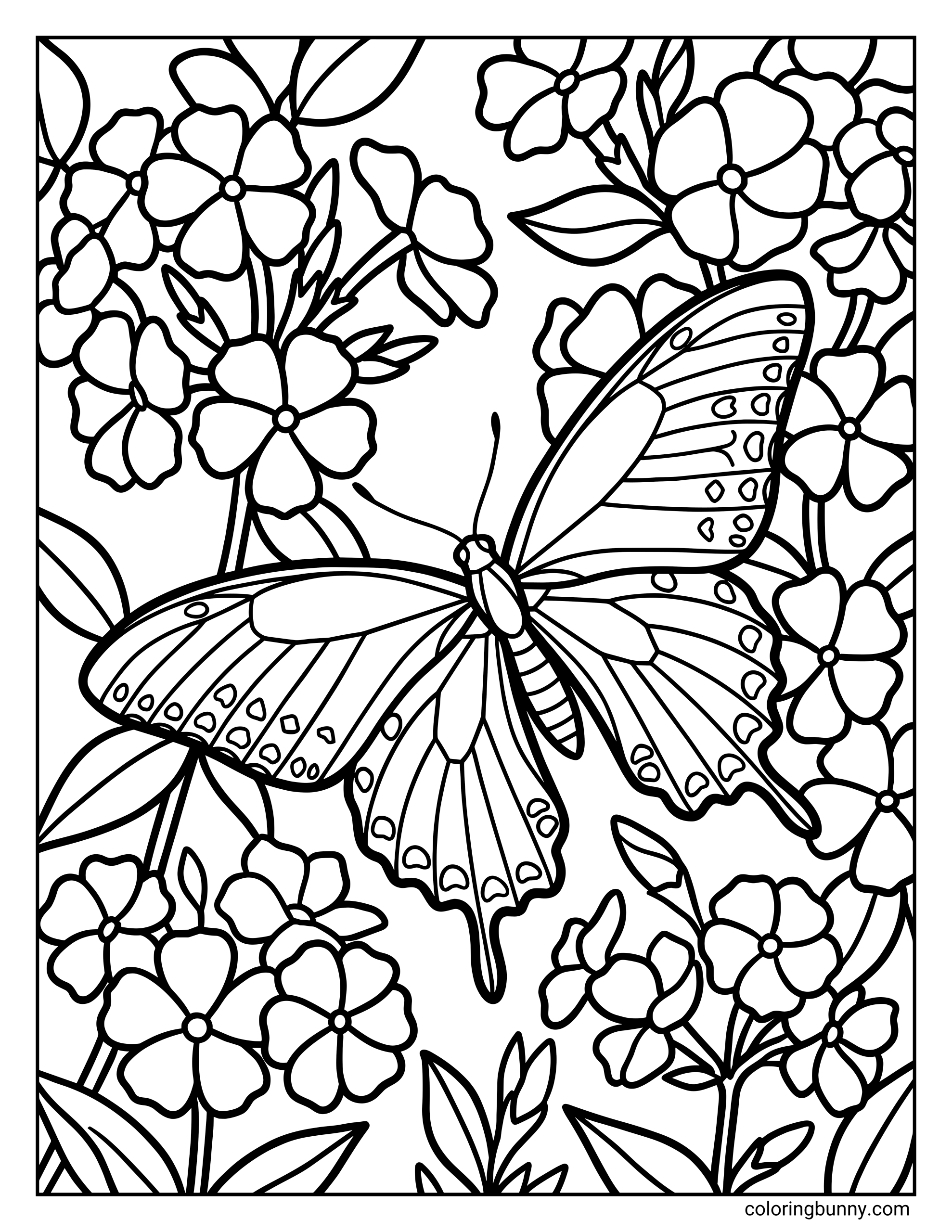 A detailed swallowtail-style butterfly coloring page with wide, patterned wings flying among clusters of blooming phlox flowers. The scene includes overlapping petals, leafy stems, and delicate wing markings with dots and curved sections, all drawn with clean, bold outlines.