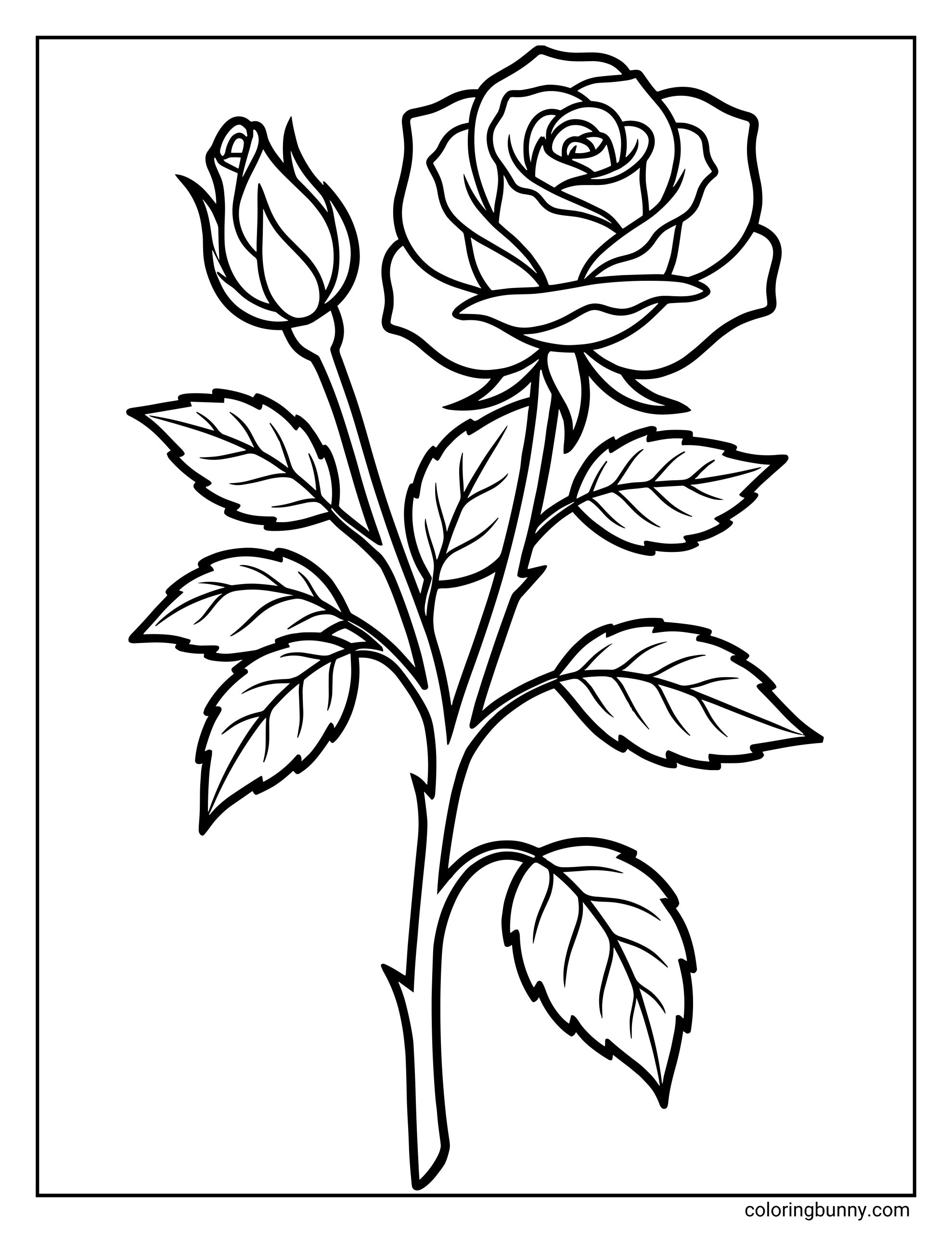 A rose flower coloring page featuring a fully bloomed rose with layered petals, a rosebud, detailed leaves, and a long stem outlined in bold, clean lines.