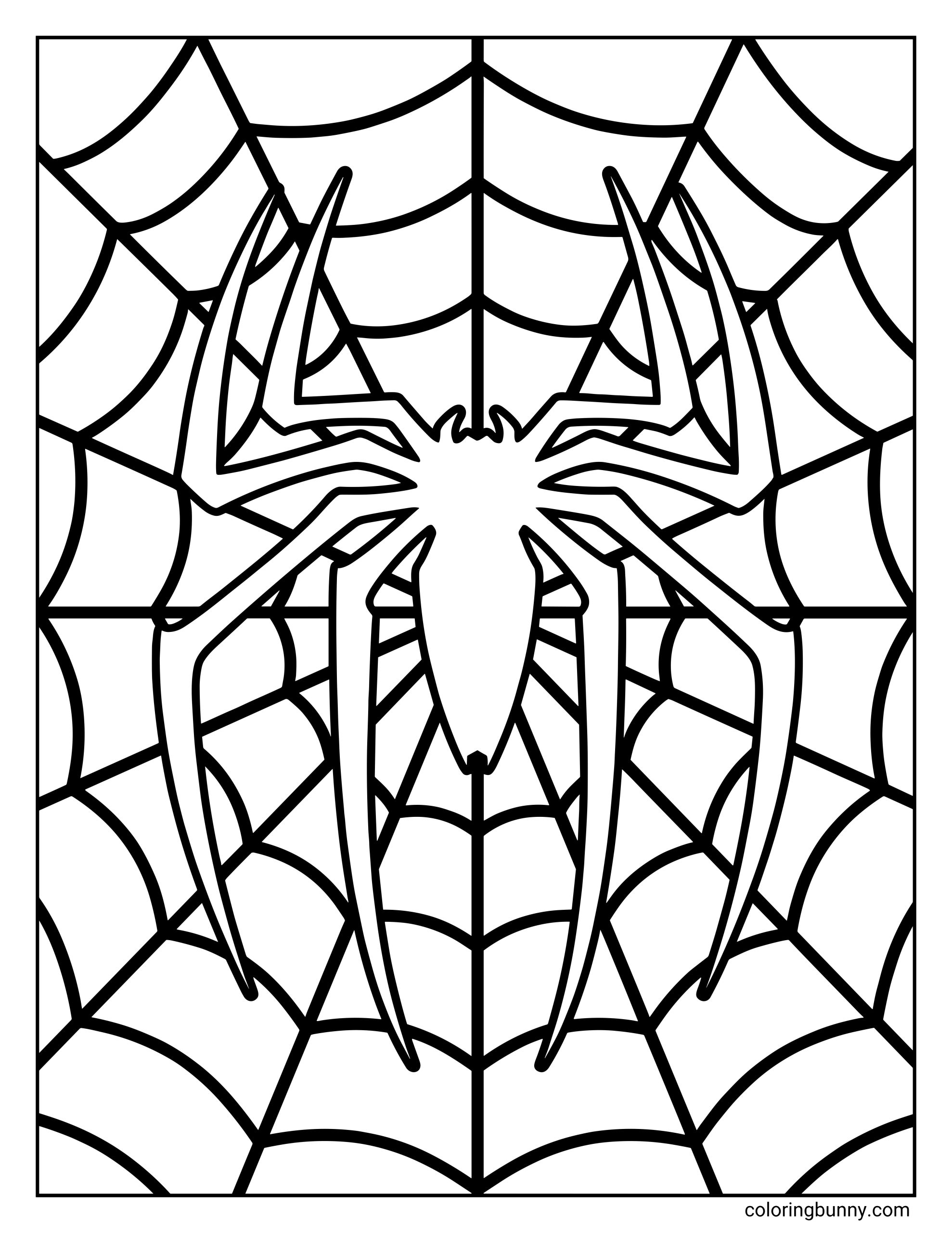 A coloring page showing the round Spider-Man chest emblem with a spider icon, centered on a page filled entirely with intricate web patterns.