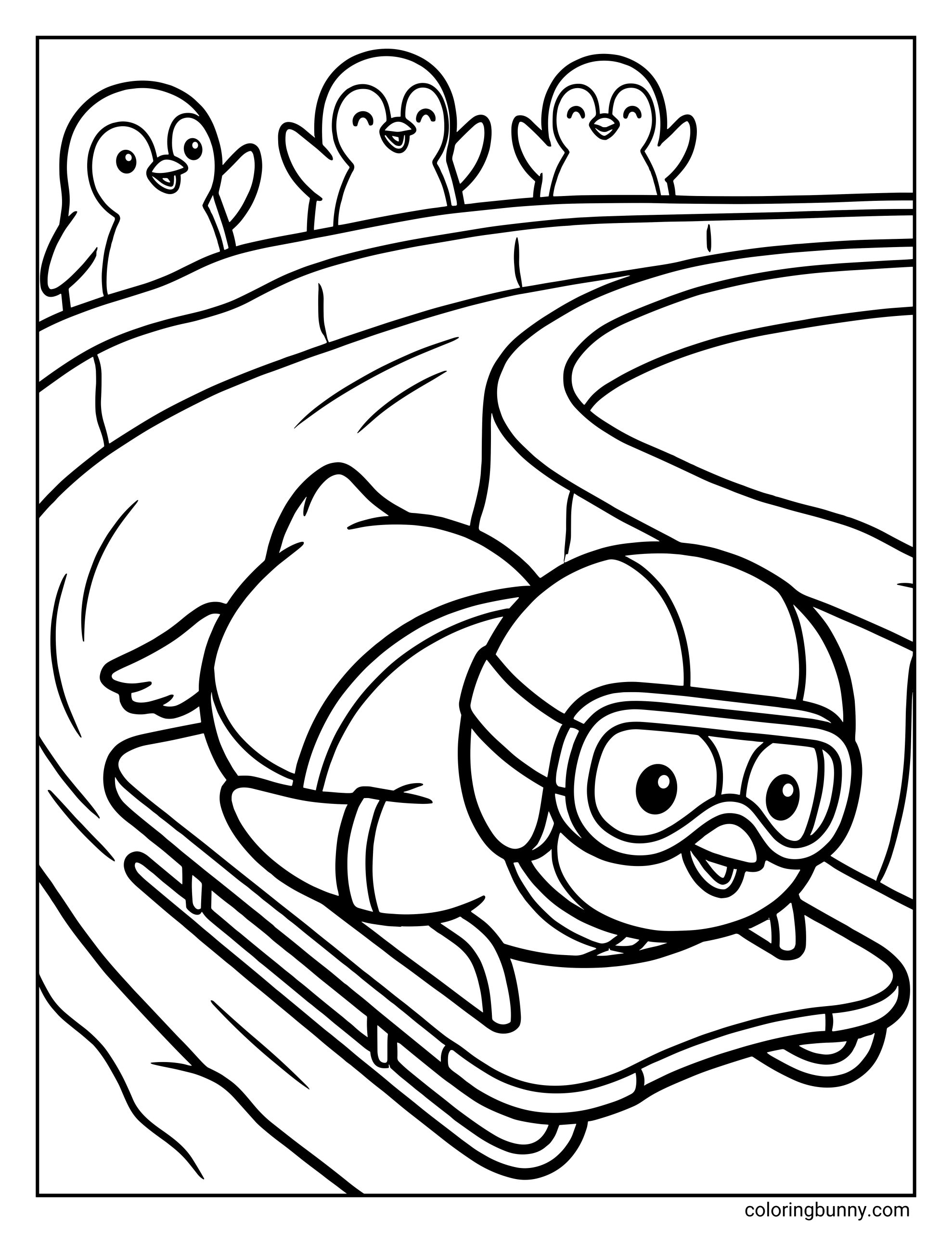 A cute Winter Olympics skeleton coloring page featuring a penguin wearing a helmet and goggles racing headfirst down an icy track on a skeleton sled. Three penguins cheer from the side of the track above.