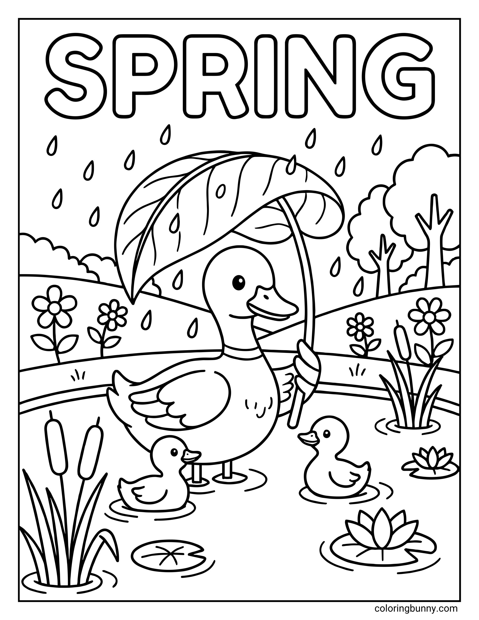 A Spring coloring page featuring the text "SPRING" above a mother duck holding a leaf umbrella over two ducklings in a rainy pond with lily pads and reeds.