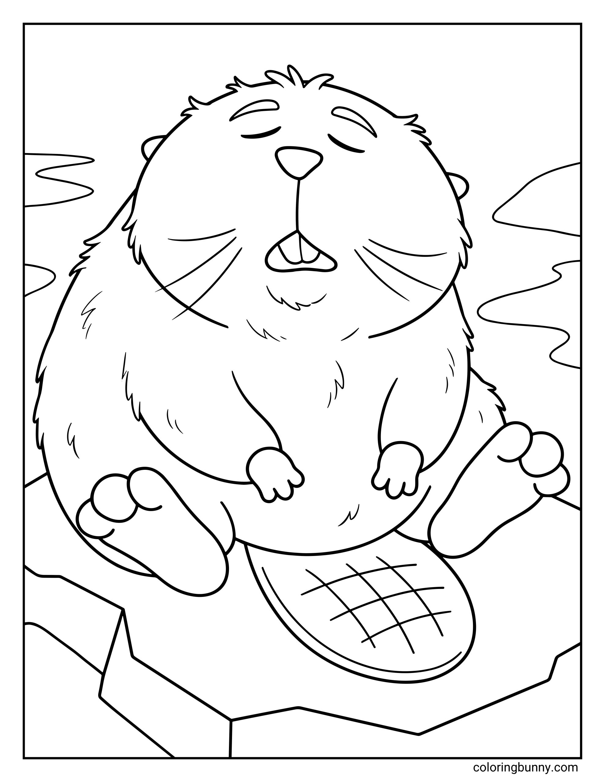 A Hoppers coloring page showing Loaf the beaver sitting peacefully on a rock with his eyes closed and a calm expression. His fluffy body, small paws, and wide beaver tail rest comfortably as water and rocks appear in the background.