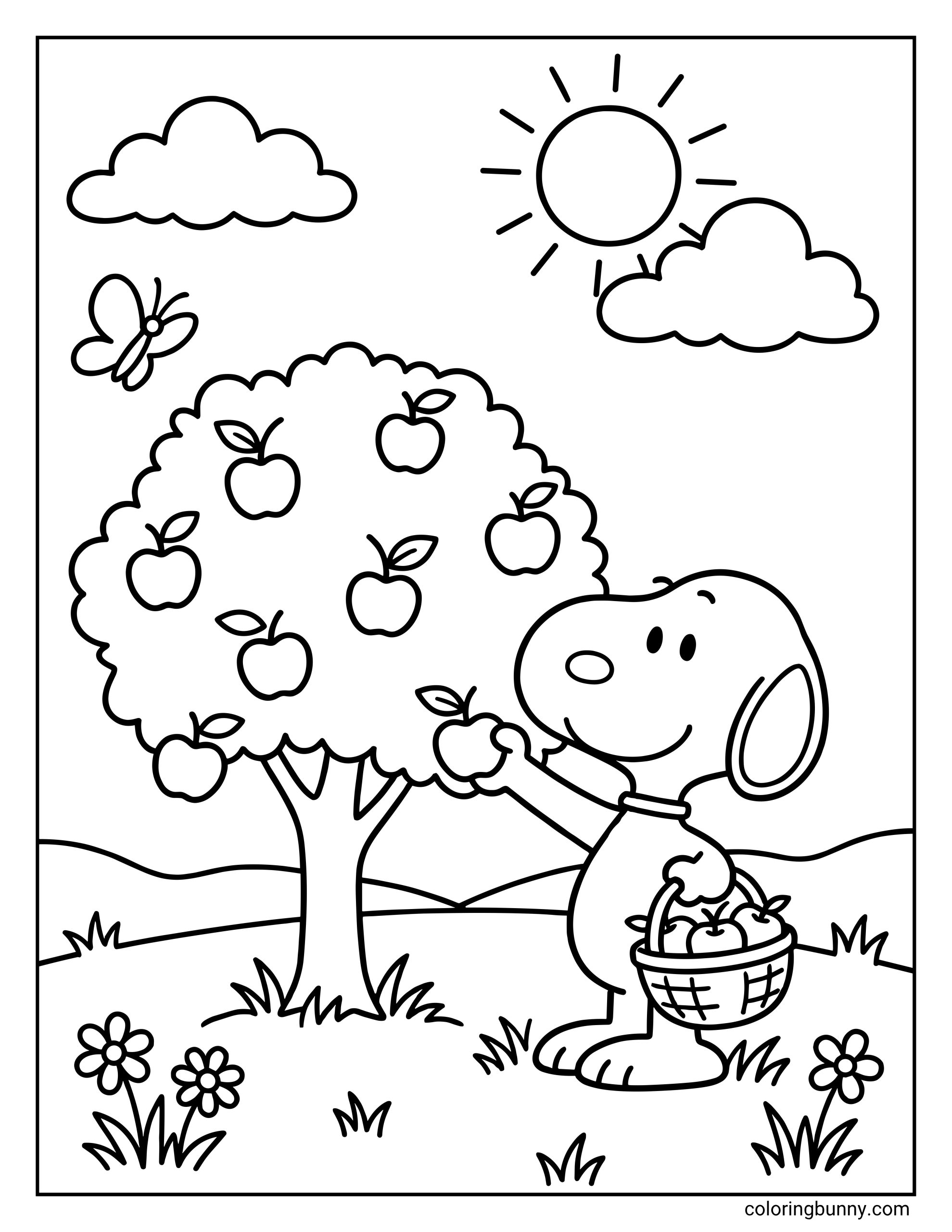 Snoopy coloring page featuring the Peanuts character Snoopy picking apples from a tree, while holding a basket filled with apples in a sunny outdoor scene with flowers, clouds, hills, and a butterfly.