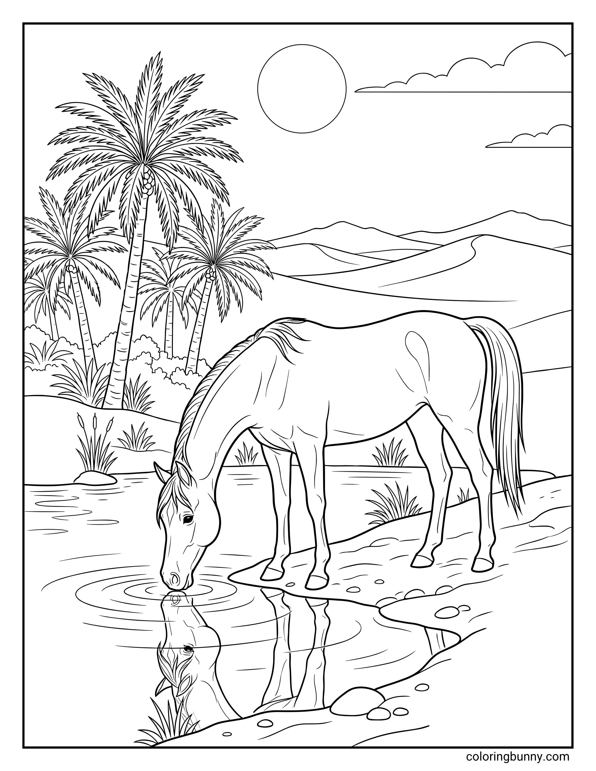 Arabian horse coloring page featuring a horse drinking from a calm desert oasis, with palm trees, sand dunes, sunshine, clouds, and a clear water reflection.