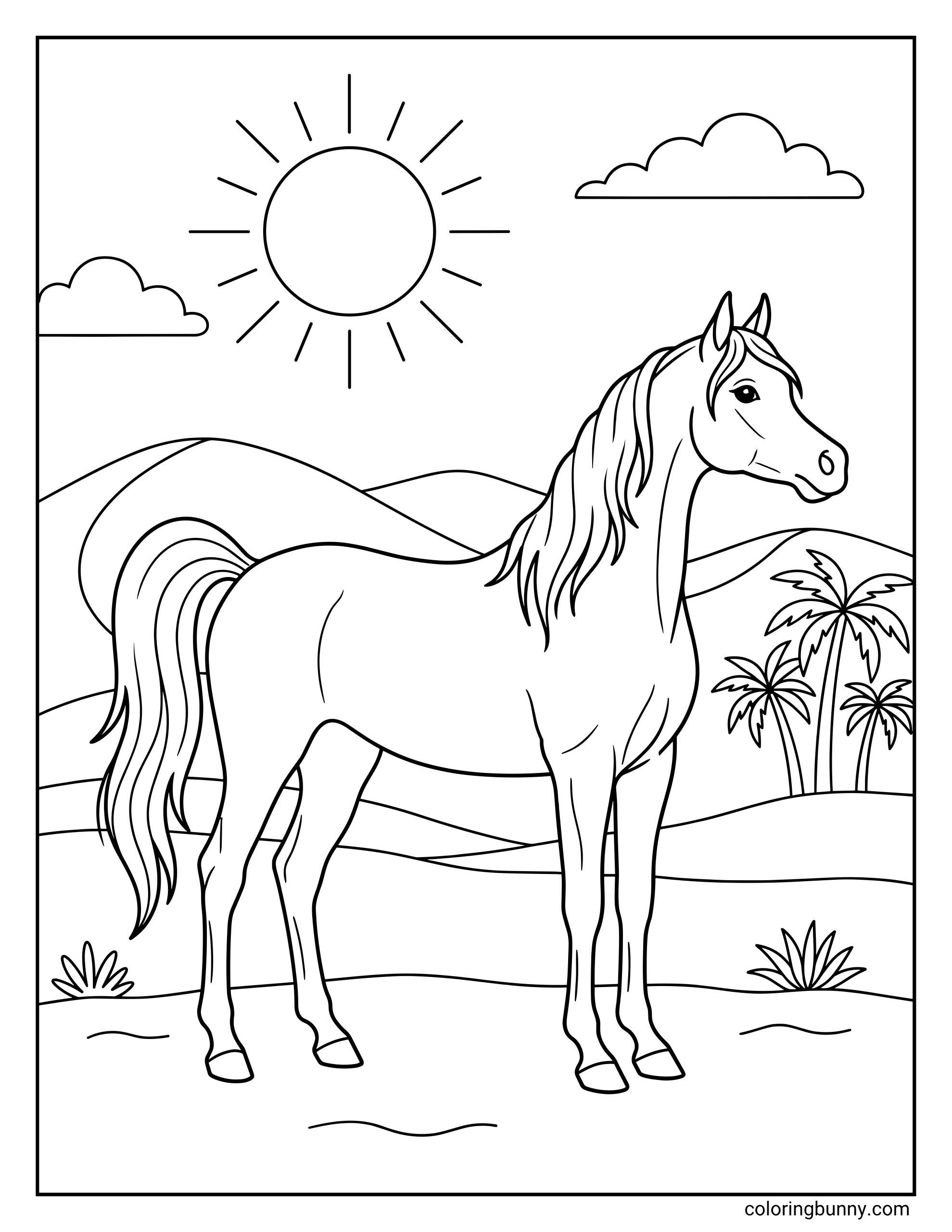 Horse coloring page showing a side view of an Arabian horse on sandy ground, surrounded by rolling desert dunes, a shining sun, and a few simple palm trees.