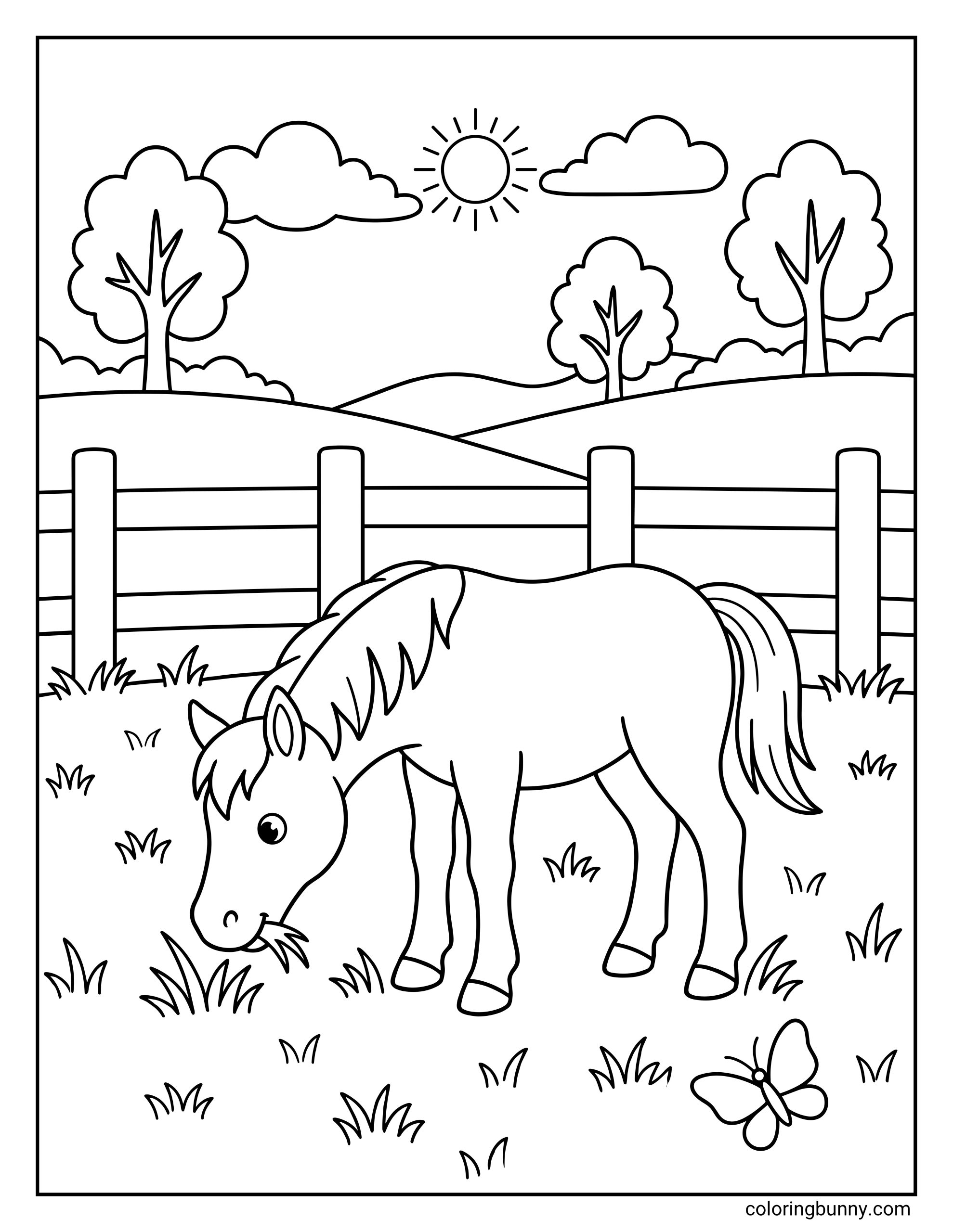 Easy coloring page of a horse eating grass in a sunny pasture, surrounded by a wooden fence, simple trees, open hills, clouds, and a small butterfly.