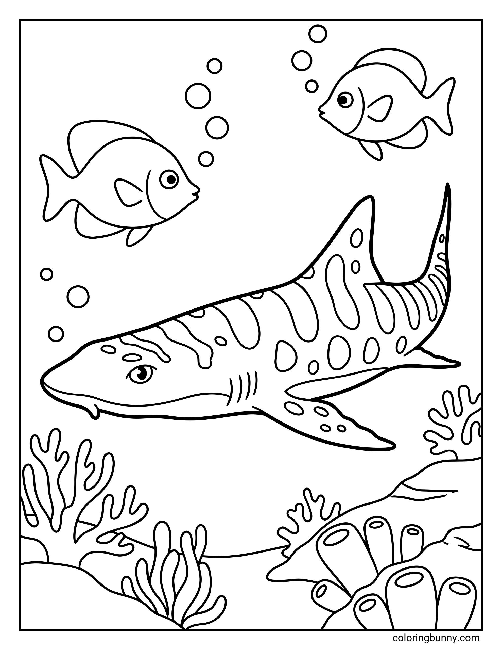 A realistic shark coloring page depicting a leopard shark with its distinct spotted and striped pattern swimming near a coral reef. Two smaller fish swim above it among several bubbles in the water.