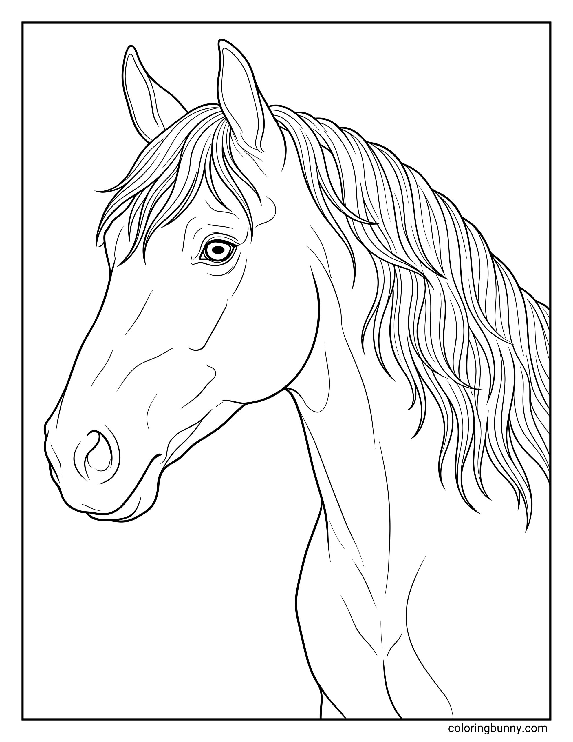 Coloring page featuring a realistic draft horse head and neck with detailed facial features, long flowing mane, and strong structure