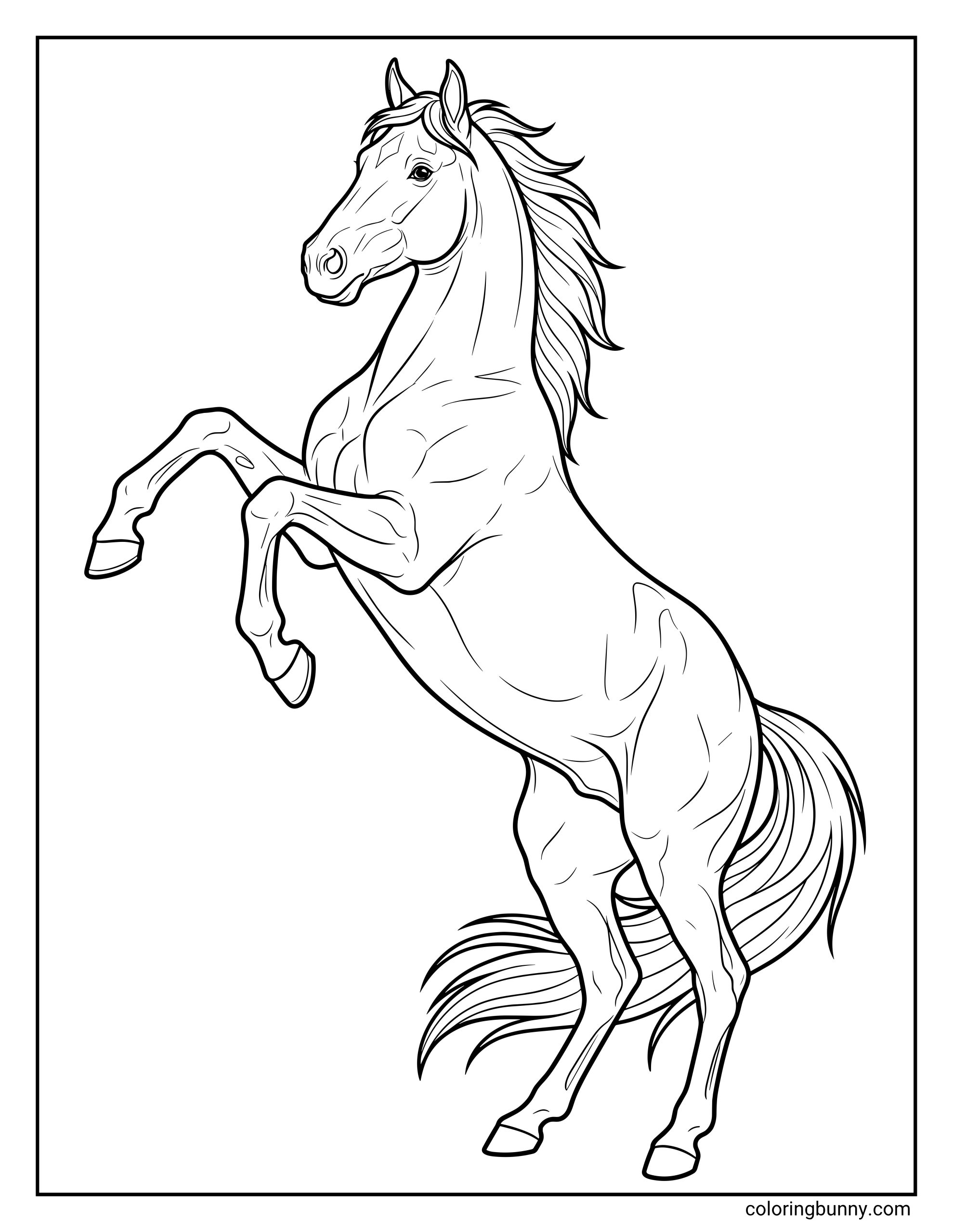 Horse coloring page showing a realistic rearing horse with lifted front legs, muscular body, detailed face, and flowing tail in a clean outline drawing.