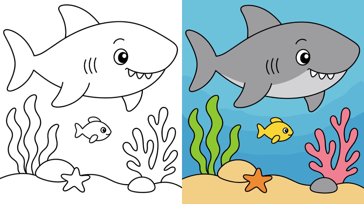 Shark Coloring Pages
