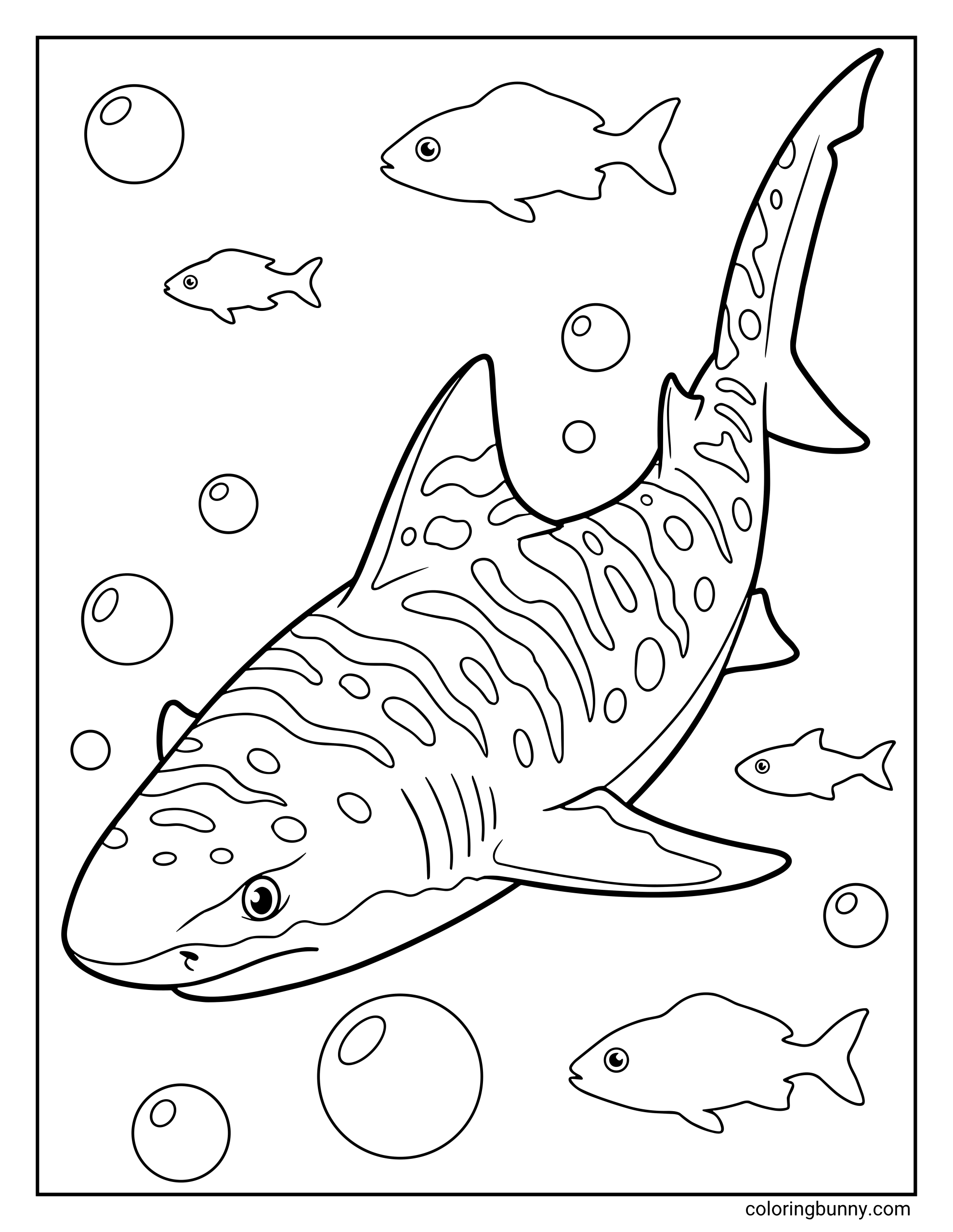 A realistic shark coloring page of a tiger shark showing its characteristic stripes and spots. It swims alongside several fish and large floating bubbles.