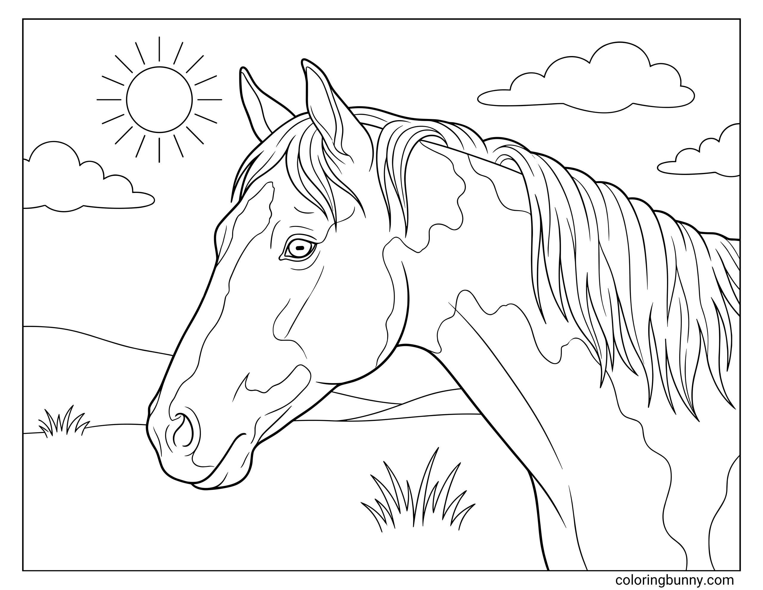 coloring page of a paint horse head and neck in close-up, with bold coat markings, flowing mane, sun, clouds, rolling hills, and simple grass details.