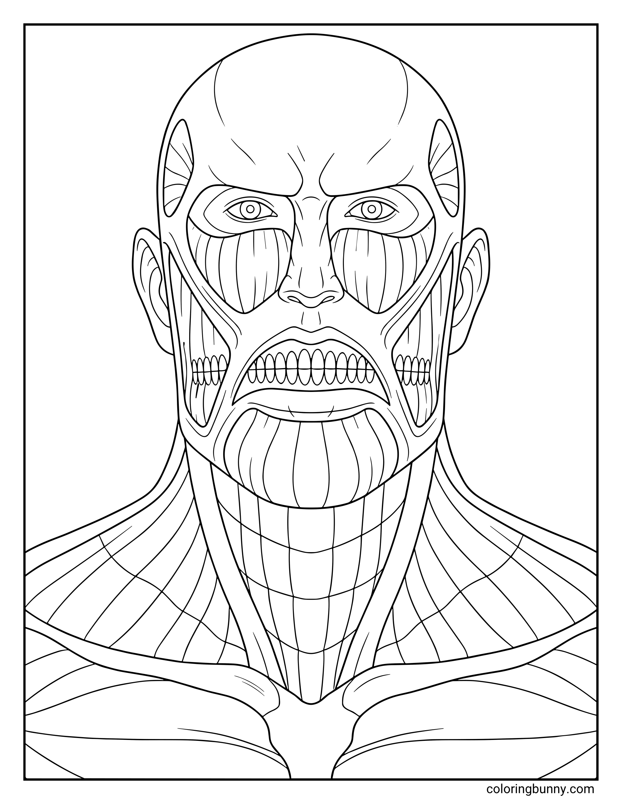A coloring page of the Colossal Titan from the Attack on Titan anime. This detailed design captures the Titan's intimidating gaze and exposed muscle fibers.