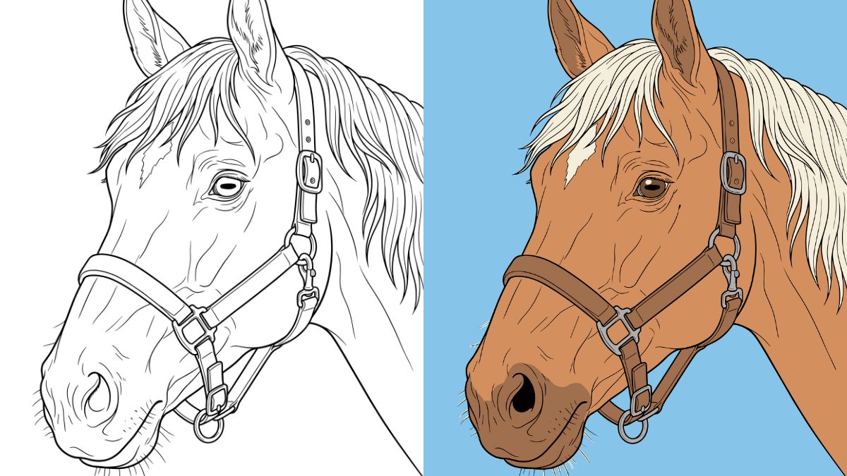 Horse Coloring Pages