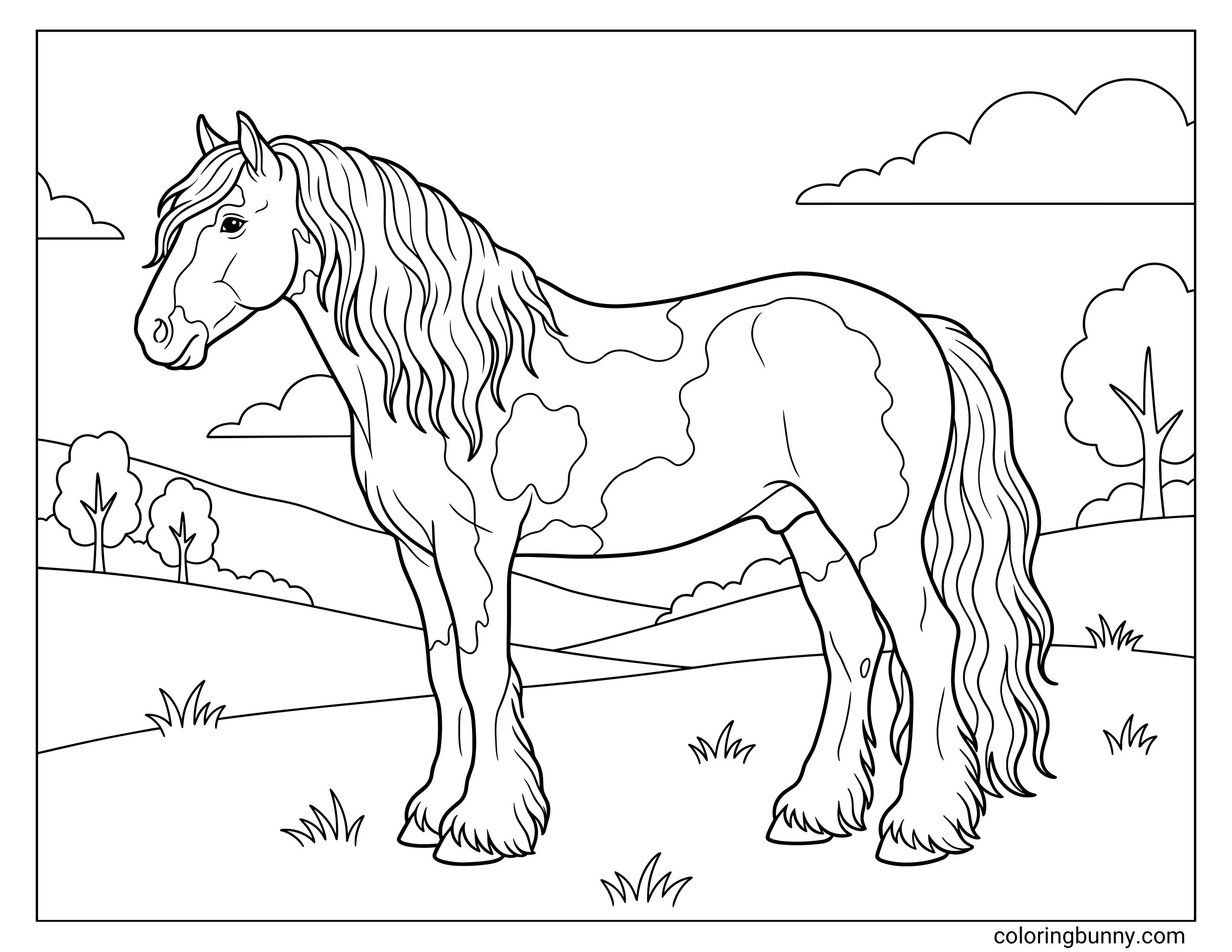 Horse coloring page showing a pinto Gypsy Vanner in side view, highlighting its patterned coat, heavy feathering on the legs, long mane, and open field setting.