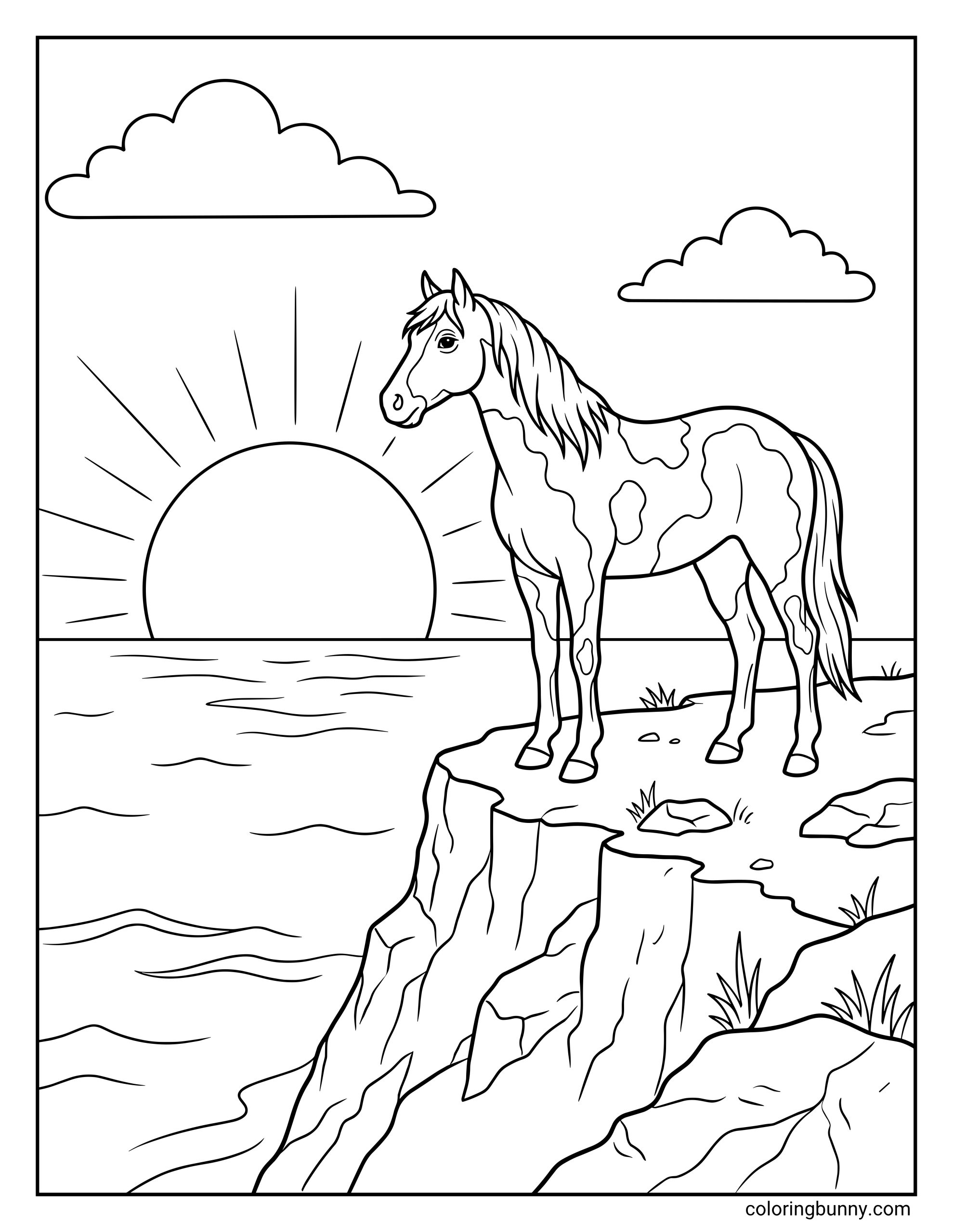 Horse coloring page showing a pinto horse standing near a cliff edge at sunset, with ocean water, sun rays, clouds, rocks, and coastal scenery.