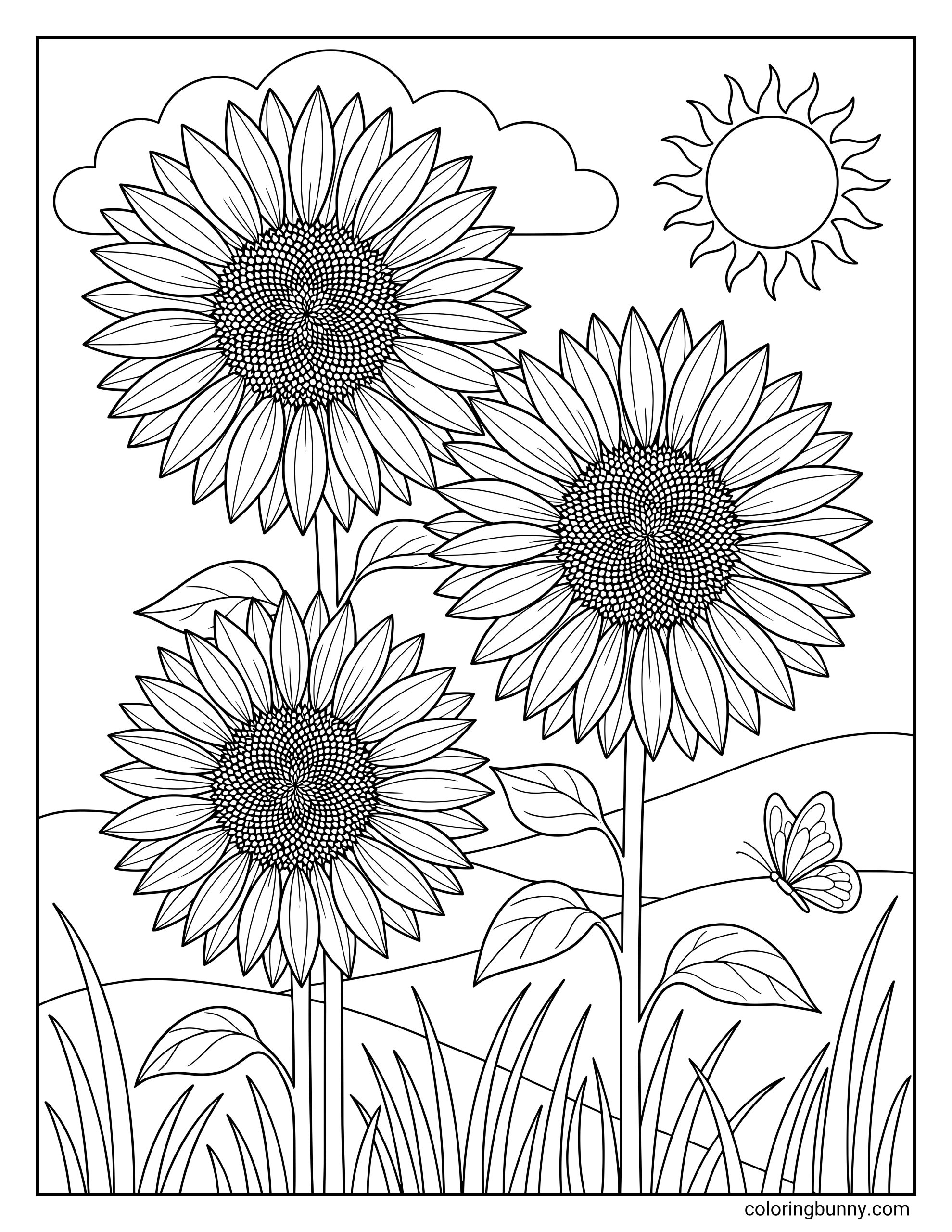 Coloring page of three realistic sunflowers with large textured centers and leafy stems surrounded by tall grass and a delicate butterfly flying in a field beneath a shining sun and clouds