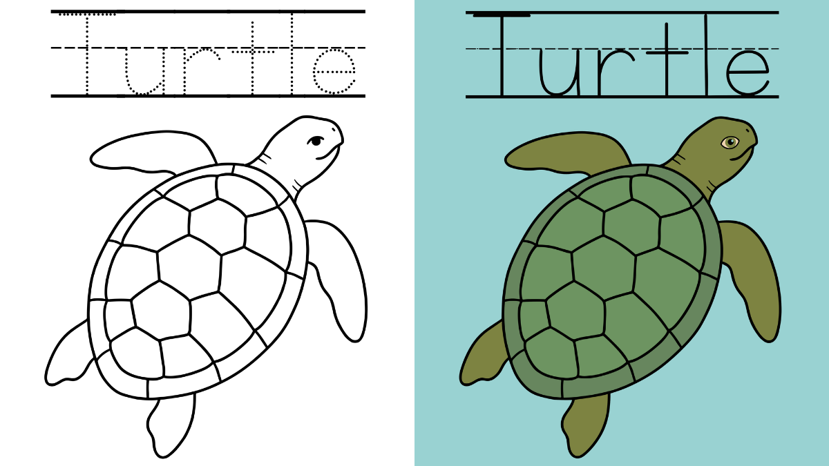 Turtle Coloring Pages