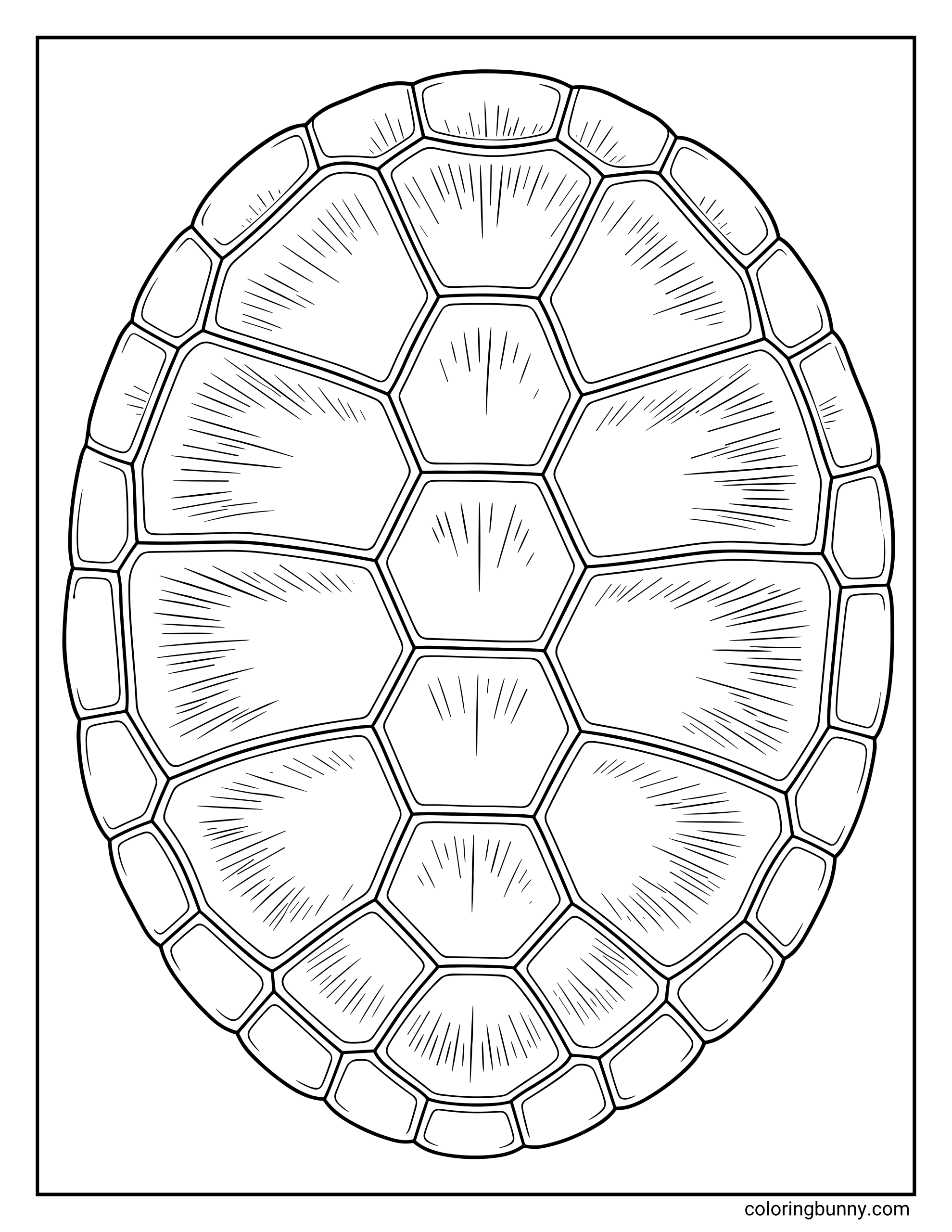 A detailed coloring page of a turtle shell shown from a direct overhead perspective. The page features a large oval carapace composed of many individual scutes with fine, radiating line patterns etched into each section.