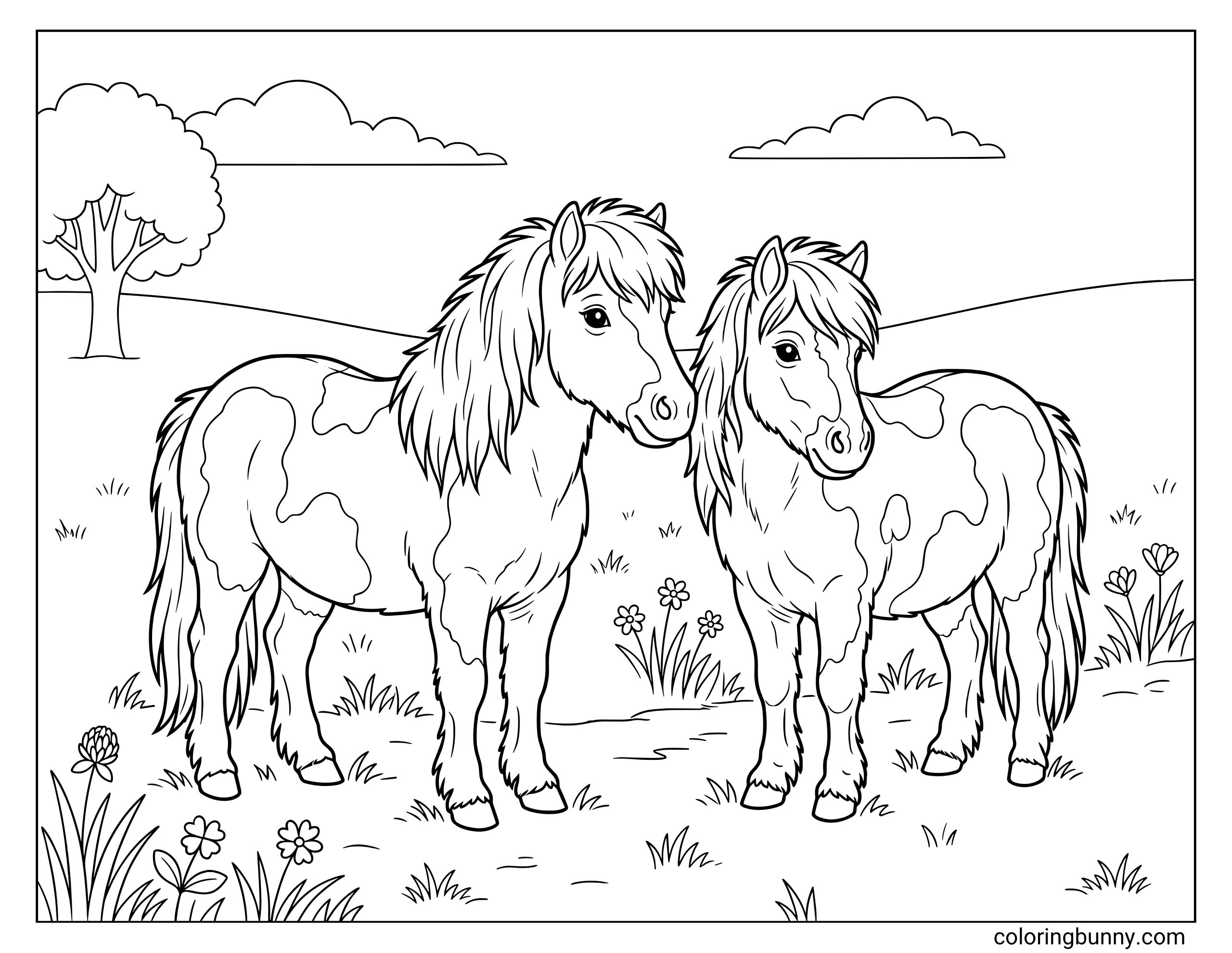 Coloring page of two cute wild ponies with thick manes standing together in a grassy field dotted with small flowers under a cloudy sky.