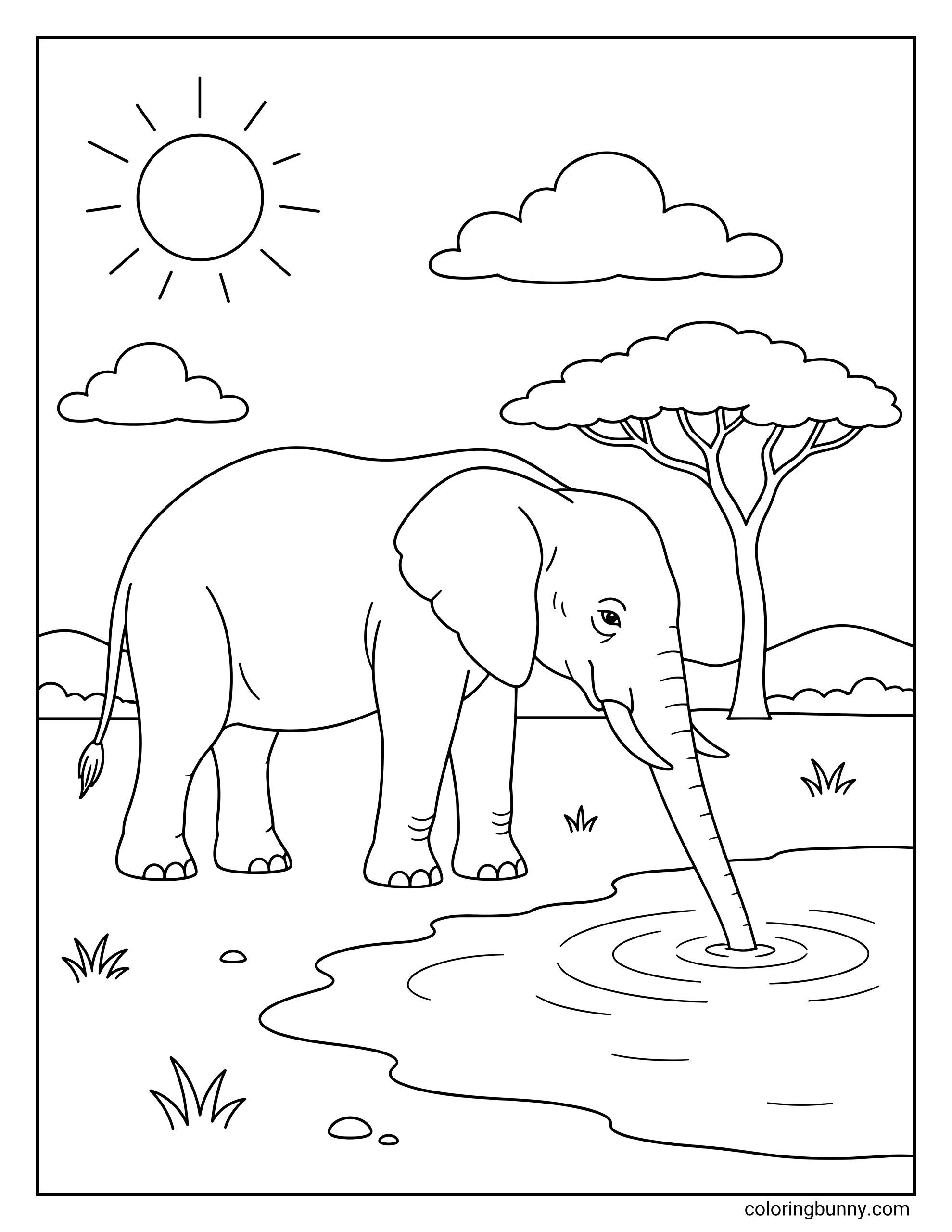 A coloring page featuring an elephant standing at the edge of a watering hole, dipping its trunk into the rippling water on a sunny day near an acacia tree.