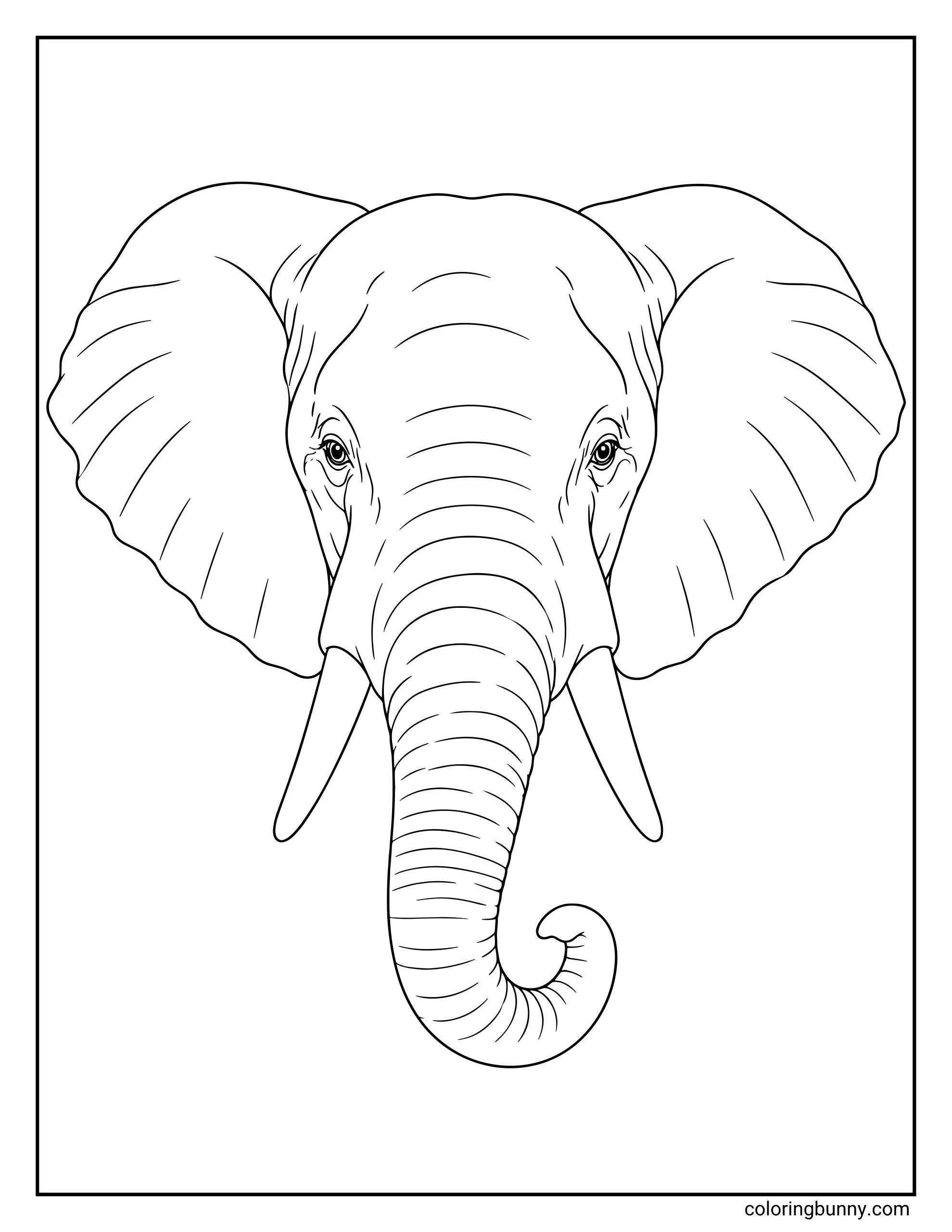 A detailed, front-facing elephant head coloring page showcasing realistic skin textures, wide ears, prominent tusks, and a curved trunk.