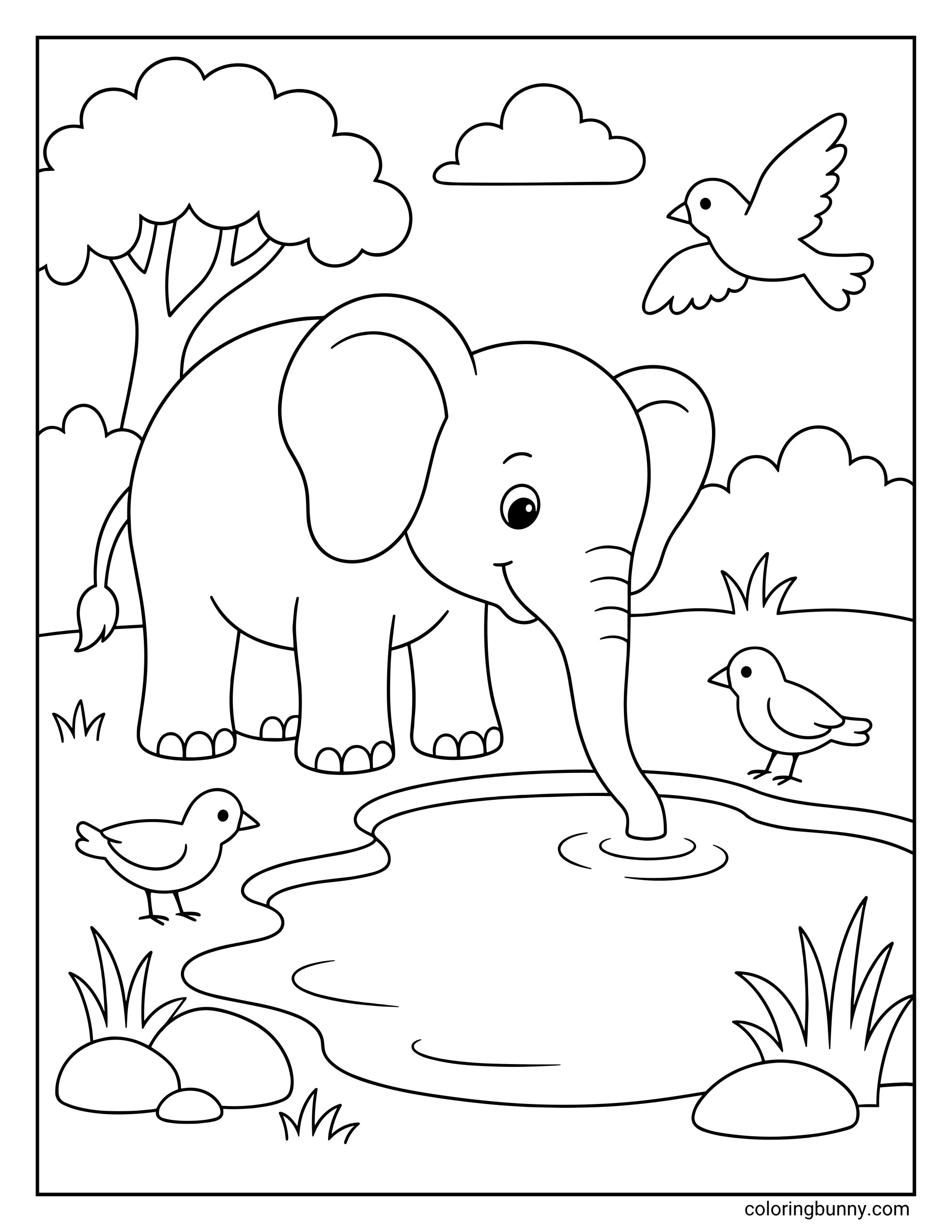 An adorable Elephant at Watering Hole with Birds Coloring Page depicting a gentle elephant dipping its trunk into a calm pool of water, joined by three small birds on the ground and in the air near a large tree.