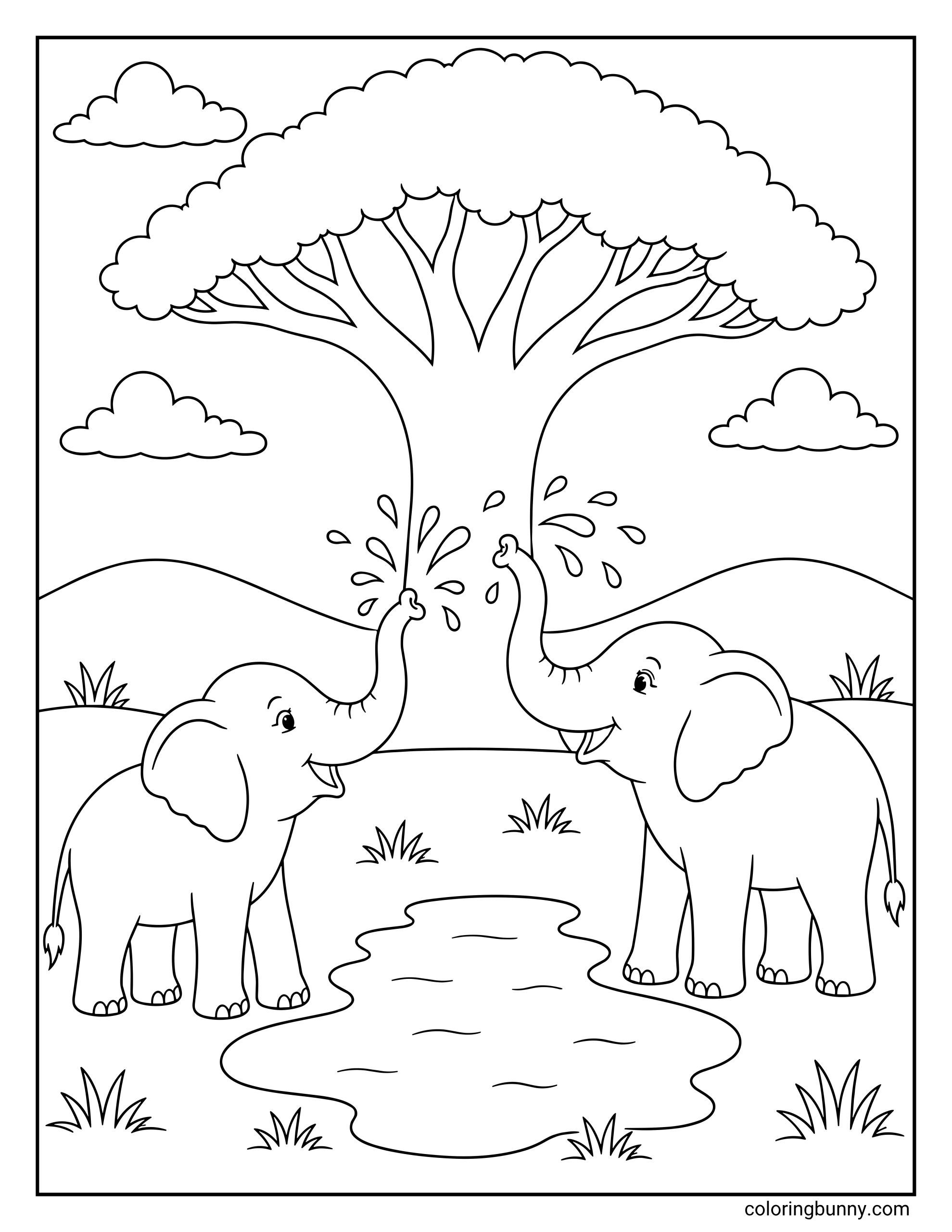 A cute coloring page featuring two happy elephants splashing water at each other with their trunks around a puddle under an acacia tree.
