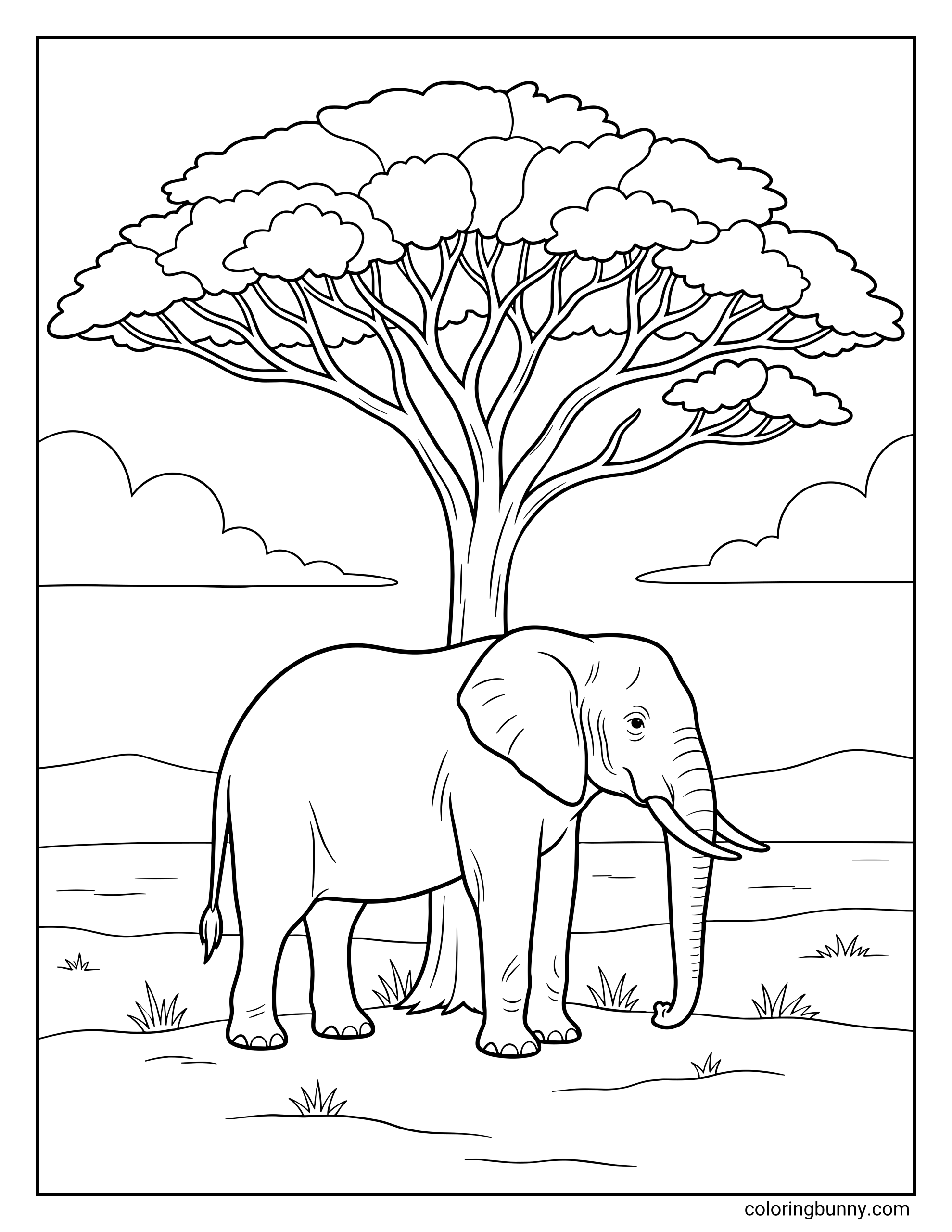 A realistic elephant coloring page standing peacefully on the plains beneath a massive, sprawling African acacia tree with hills in the background.
